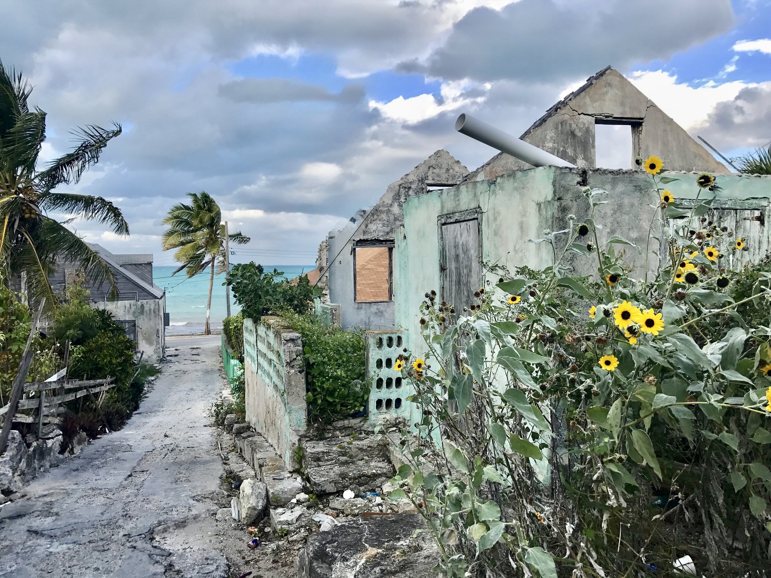 FullSizeRender.jpg 2.jpeg