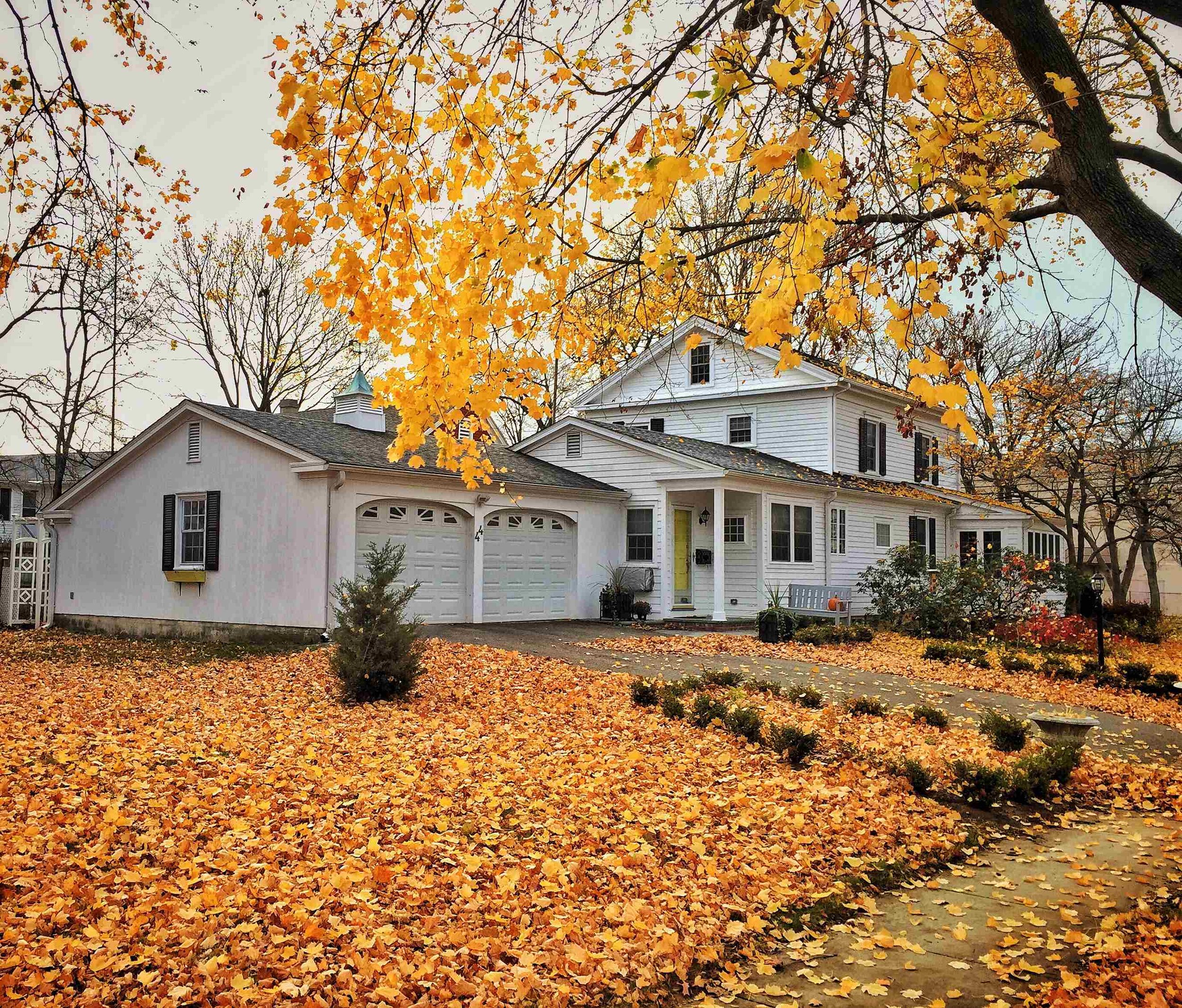 real-estate-autumn-home-nominated-2025-03-08-08-39-09-utc_4_11zon.jpg