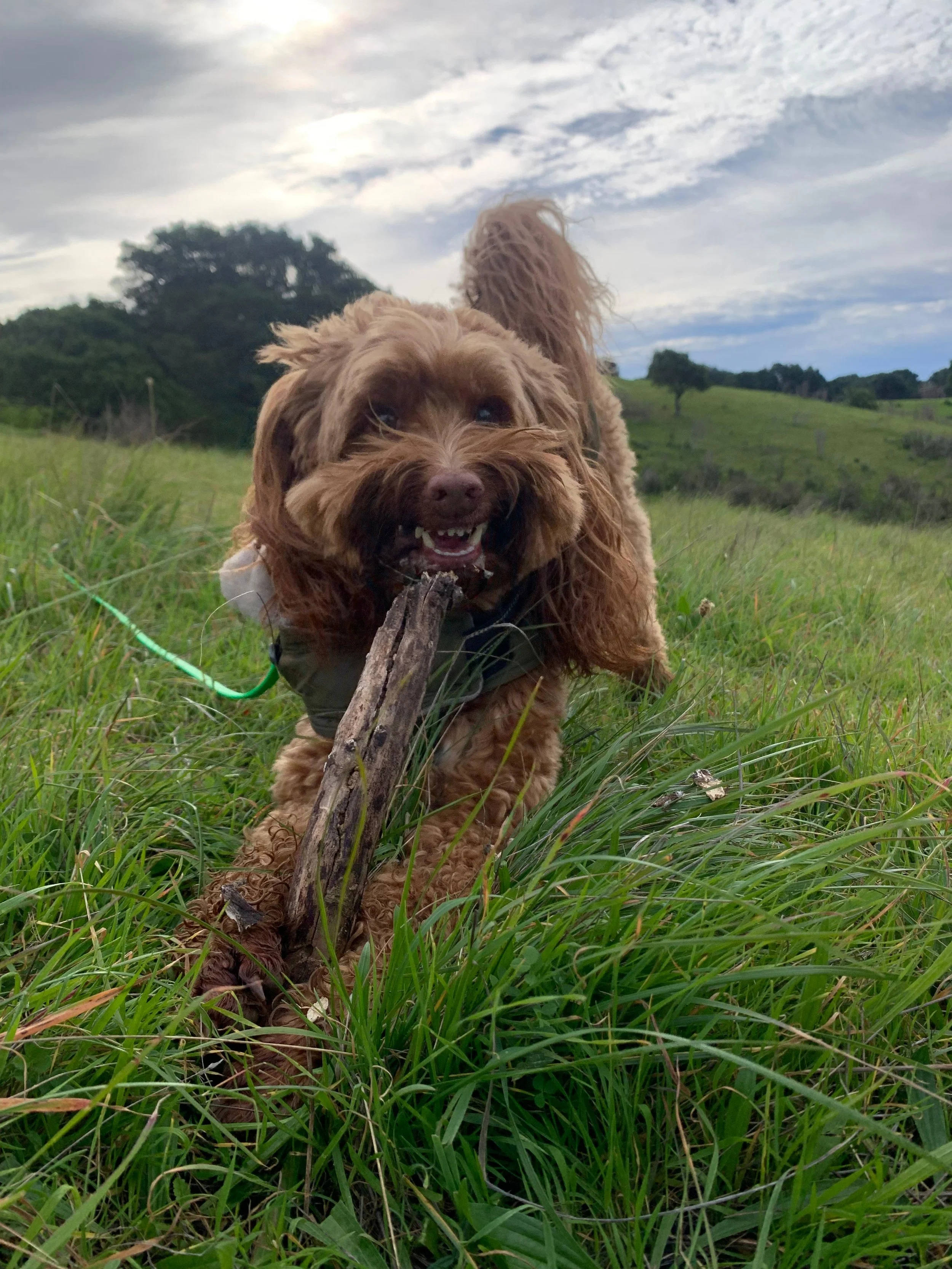 WhatsApp Image 2026-01-24 at 3.30.53 PM (3).jpeg