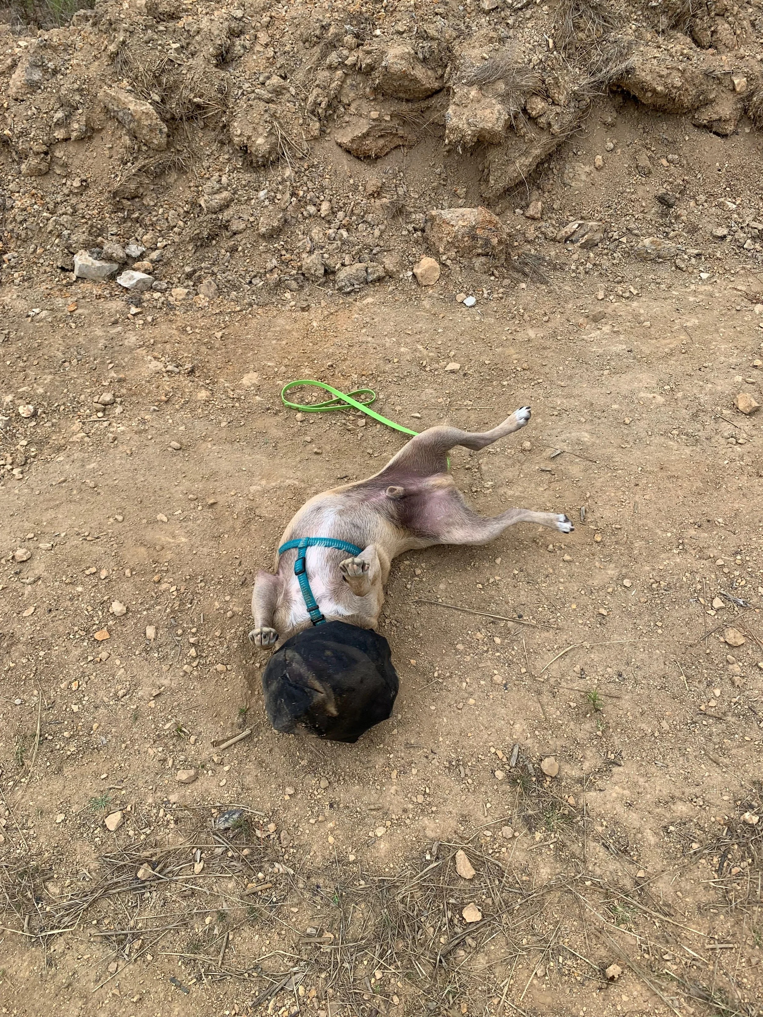 WhatsApp Image 2026-01-24 at 3.30.49 PM (2).jpeg