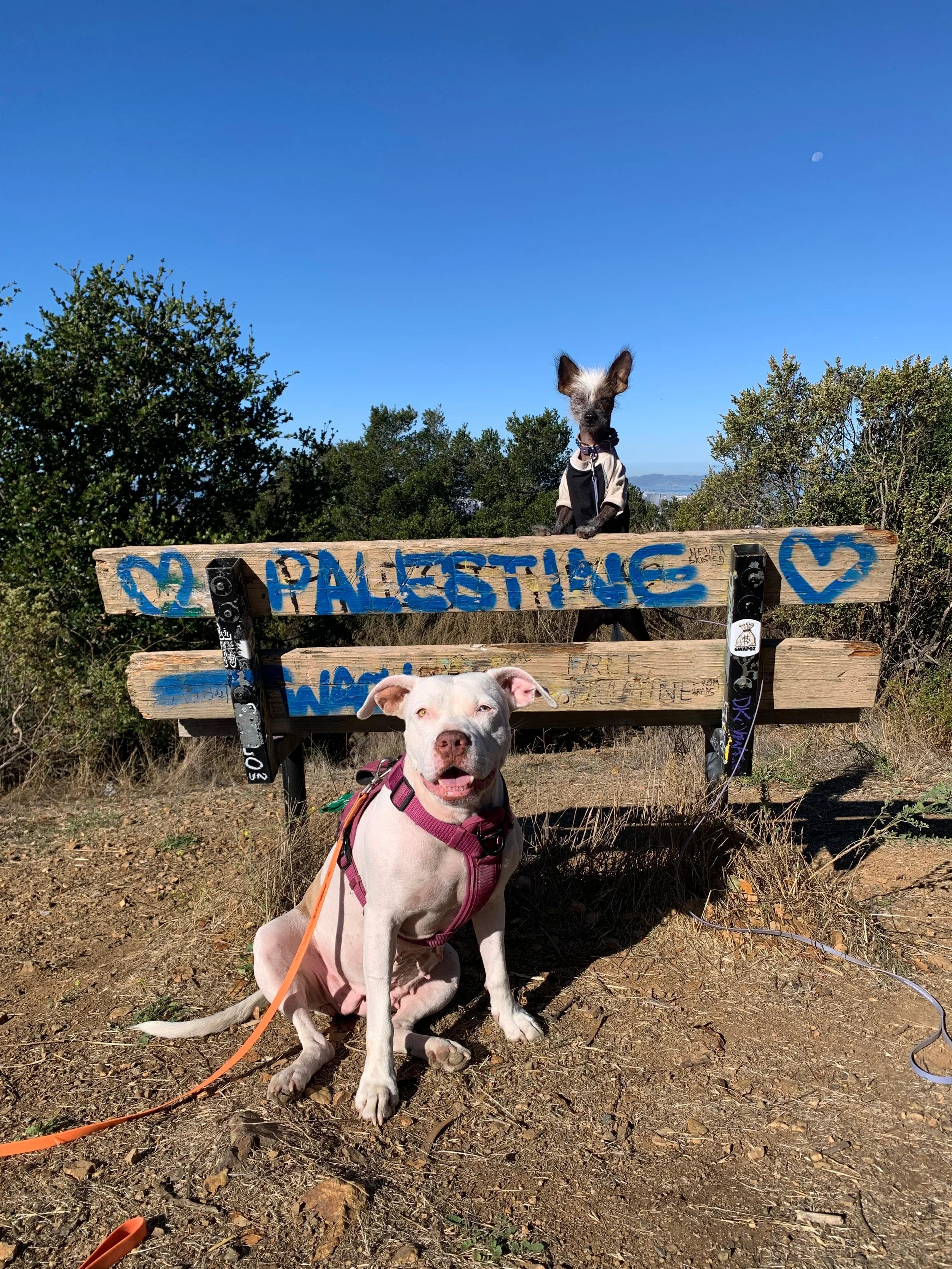 WhatsApp Image 2026-01-24 at 3.30.49 PM (3).jpeg