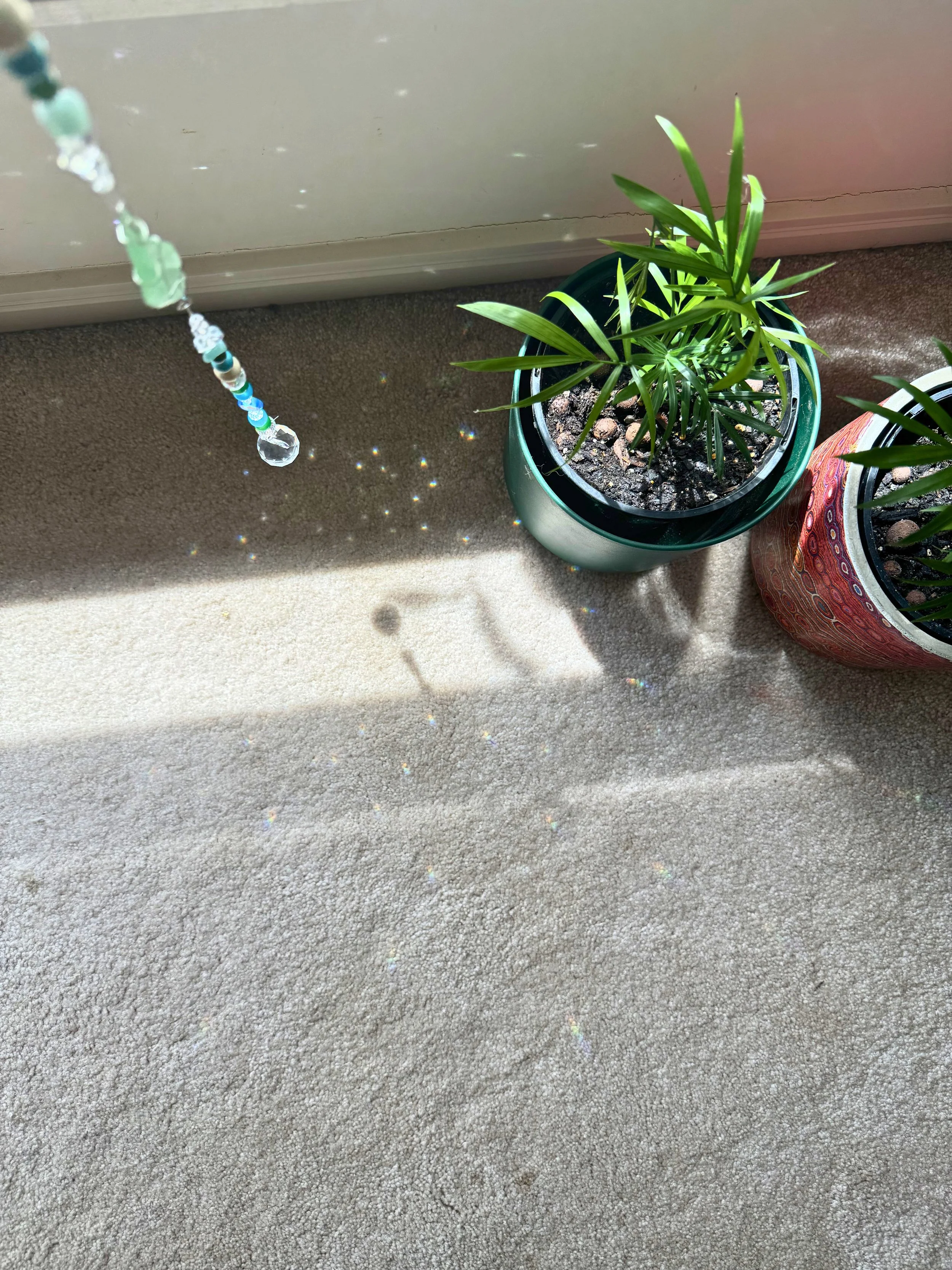 Green & Blue Sunchime