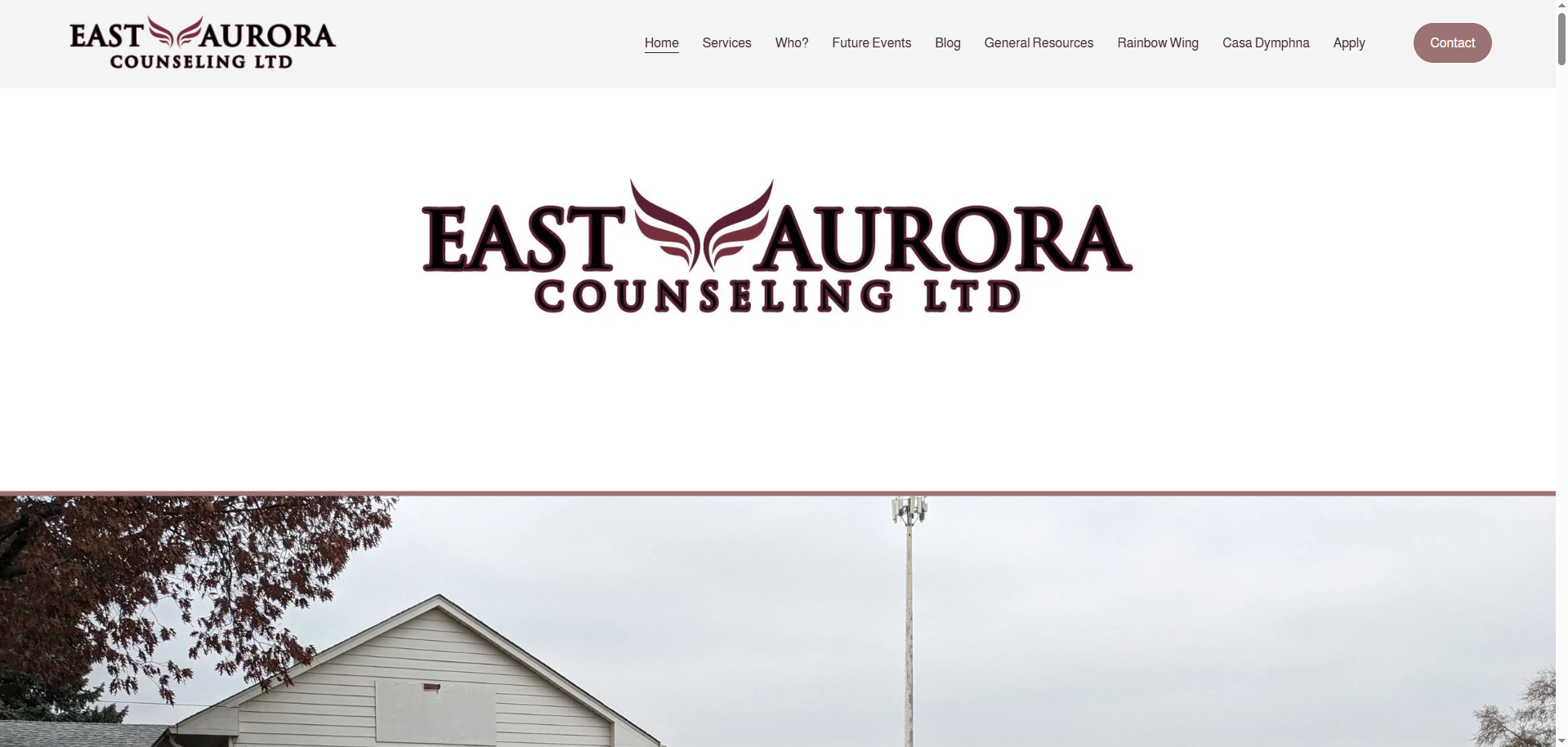 East Aurora Counseling Website
