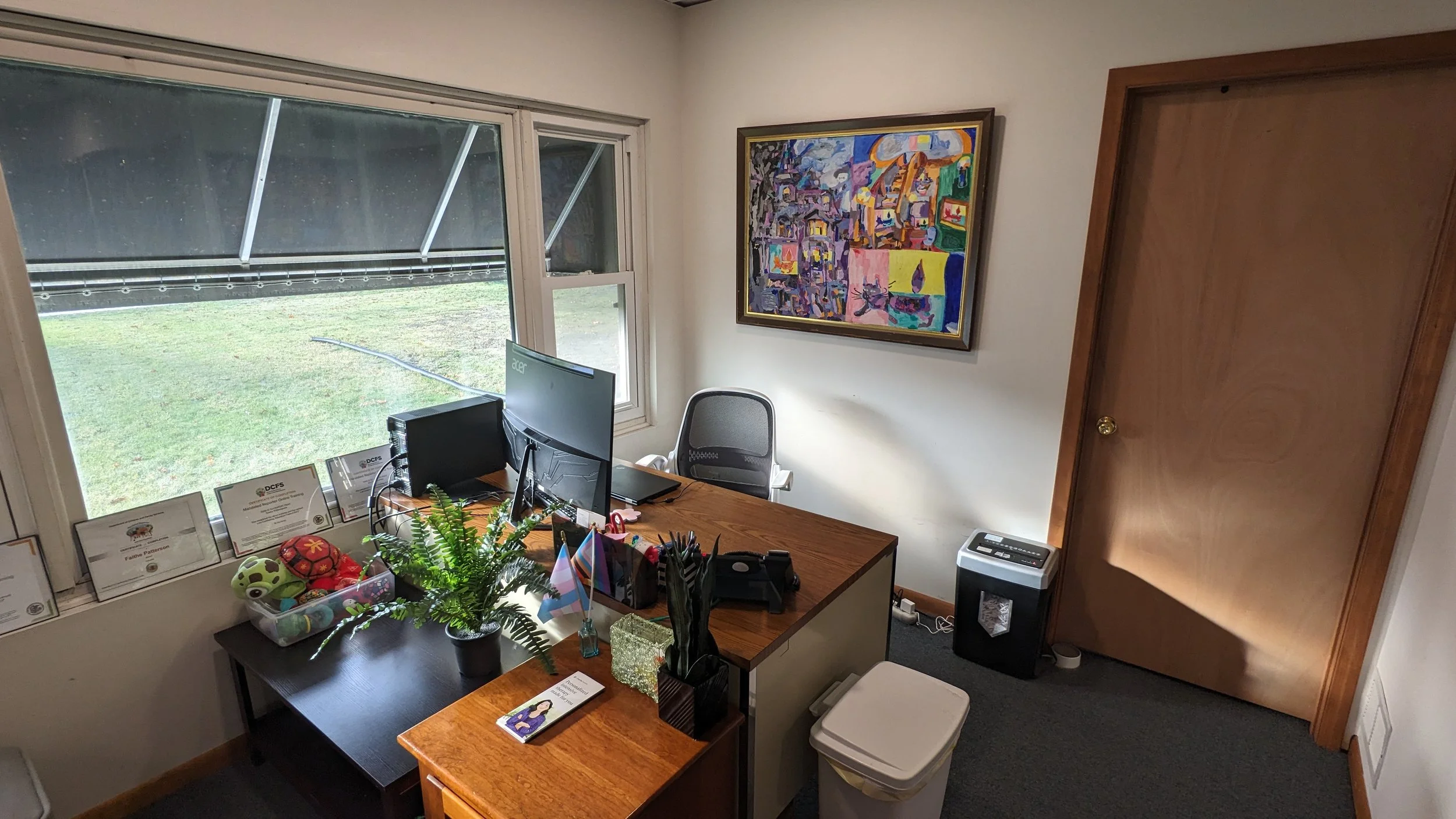 East Aurora Counseling Tours