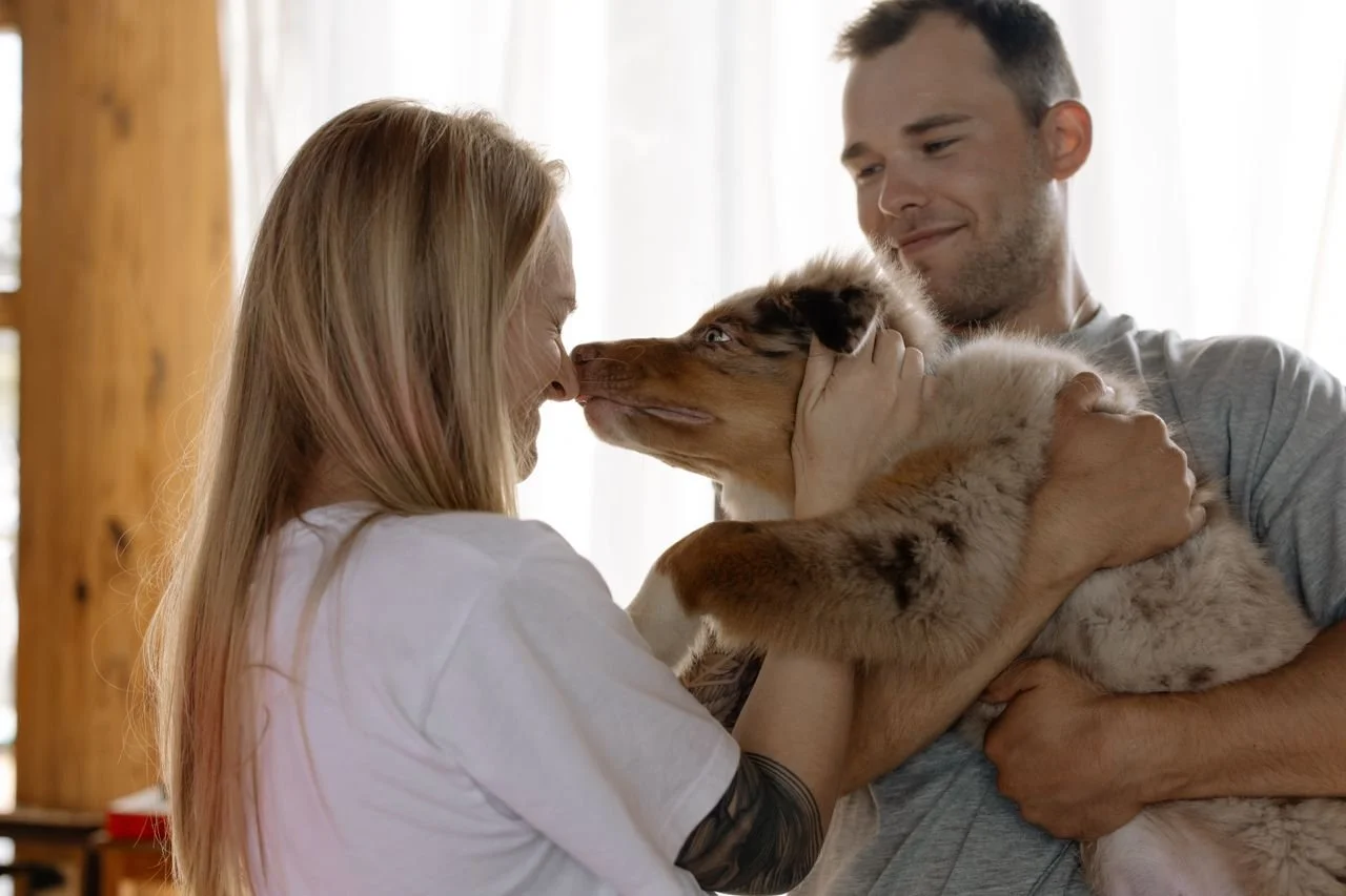 We Surveyed Thousands of Dog Owners. Here's What We Built With It.