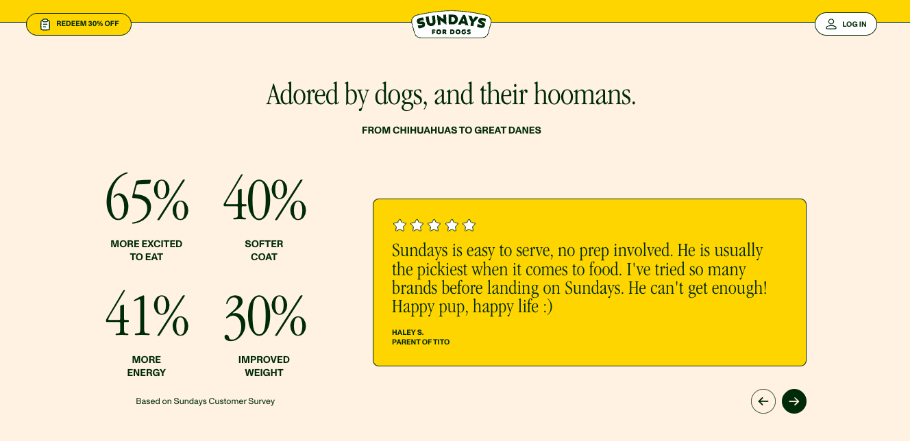 brand copywriting brand research freelance sundays for dogs case study pearl prose
