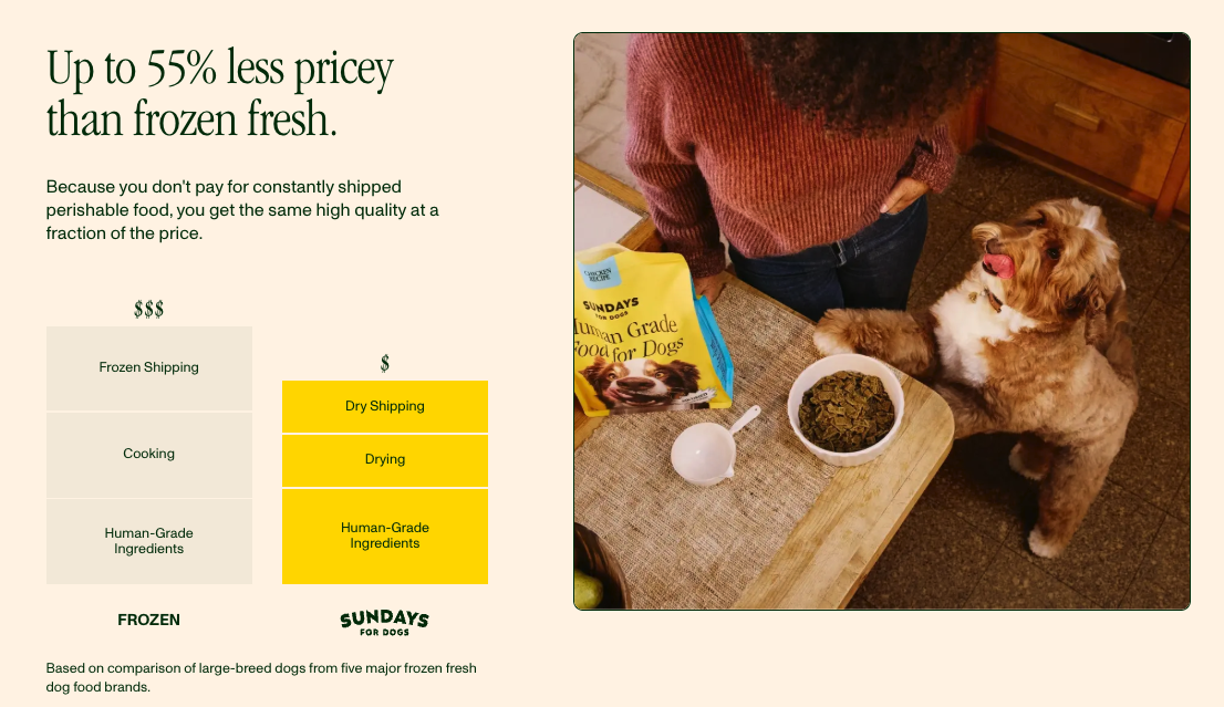 brand copywriting brand research freelance sundays for dogs case study pearl prose
