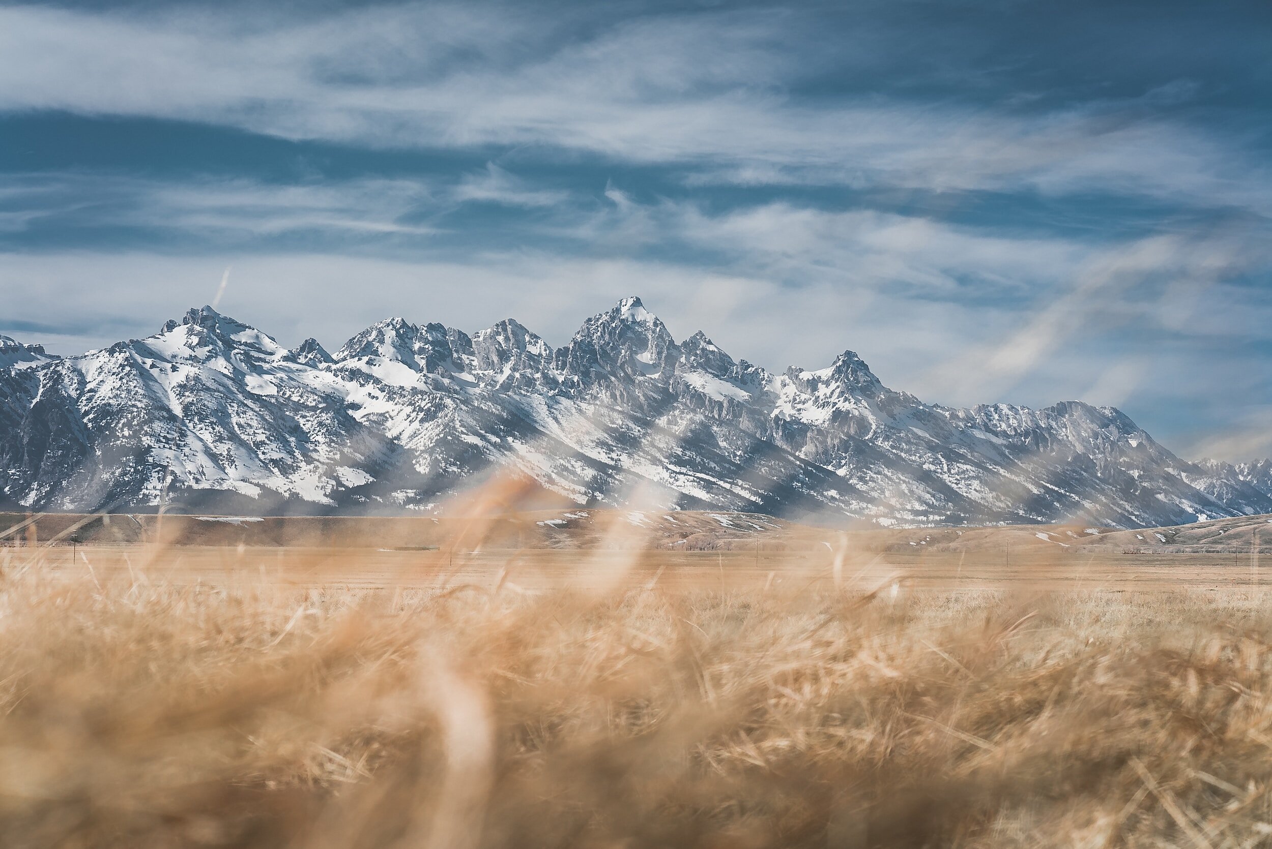 Wyoming Ranch L.I.V.E. Intensive Experience
