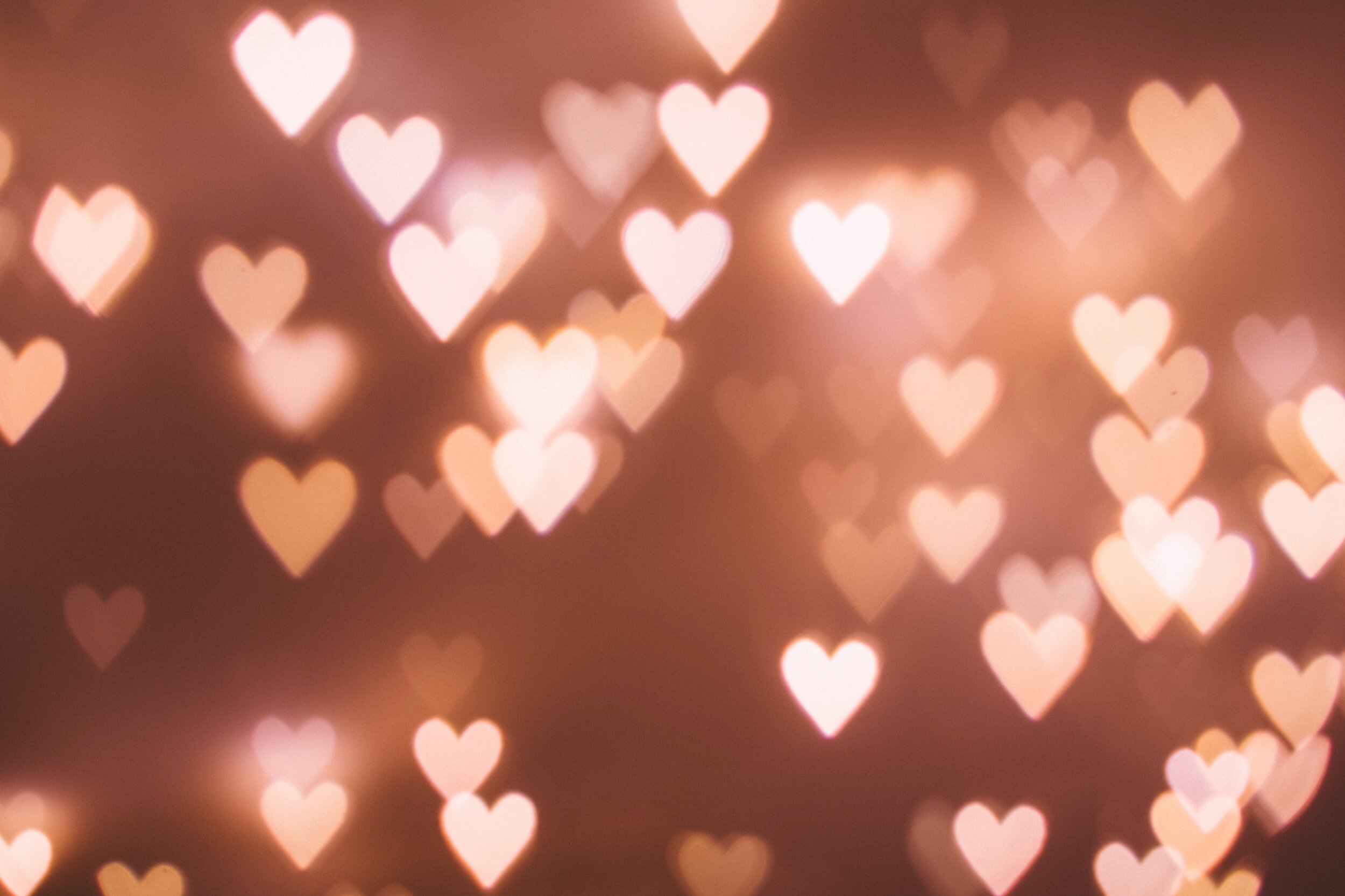 Paisley Project Annual Wine, Cheese & Chocolate: A Widow’s Alternative to Valentine's Day