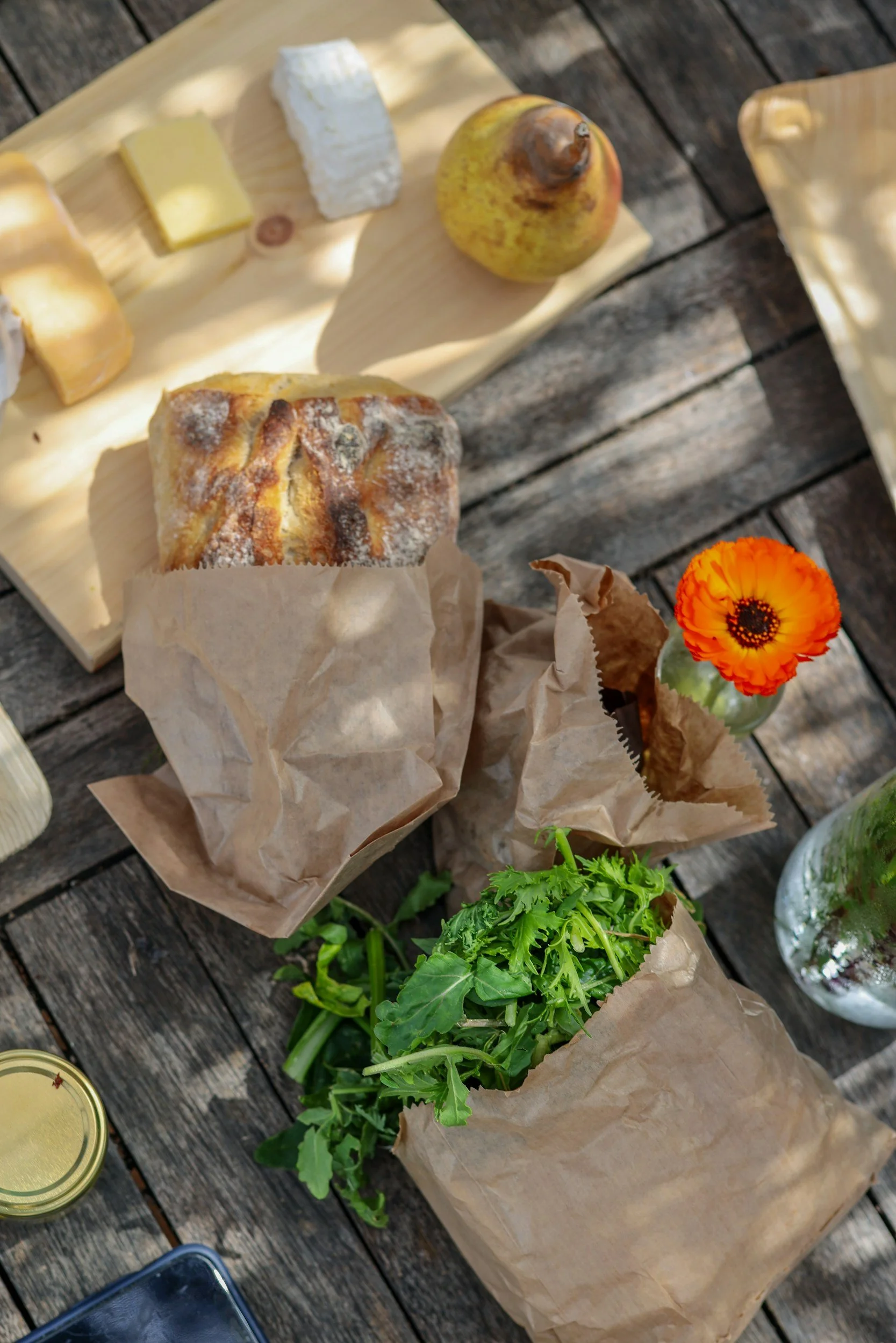 Paisley Project Picnic