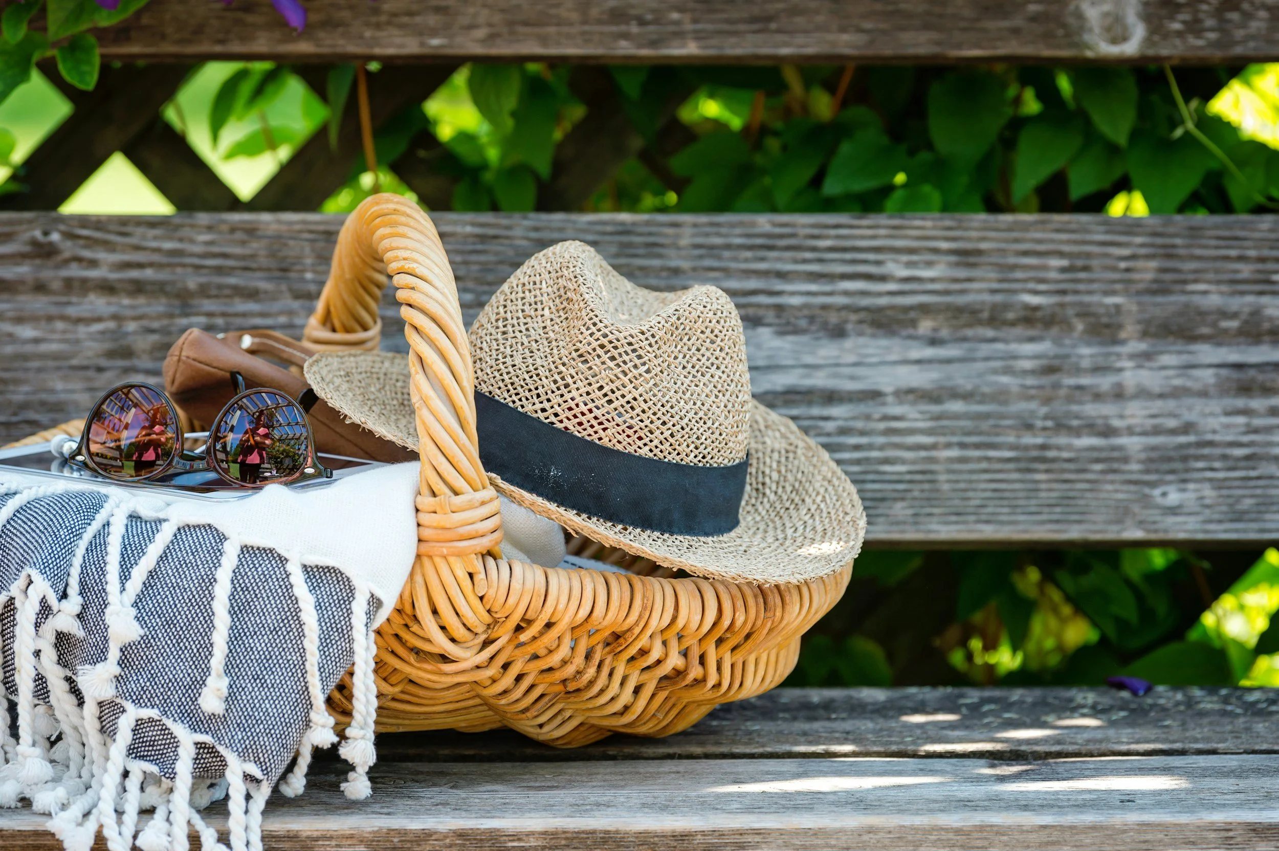 Paisley Project Picnic