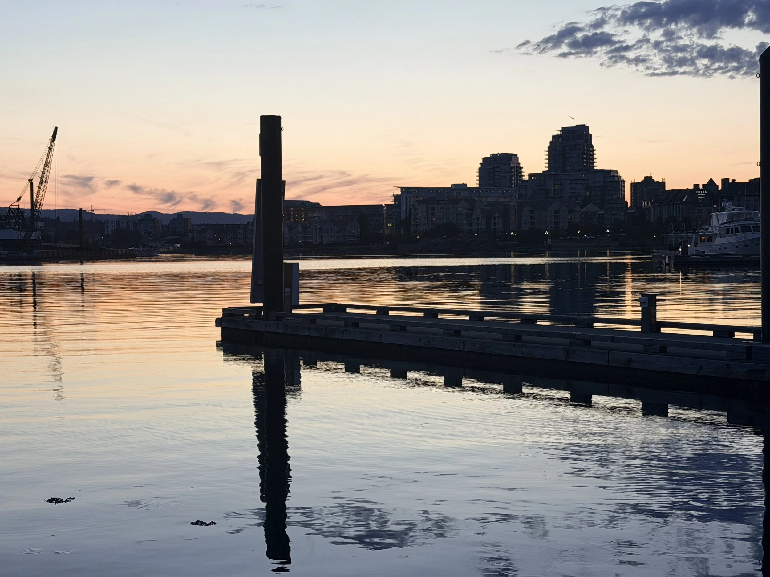 The Quiet Gift of Belonging