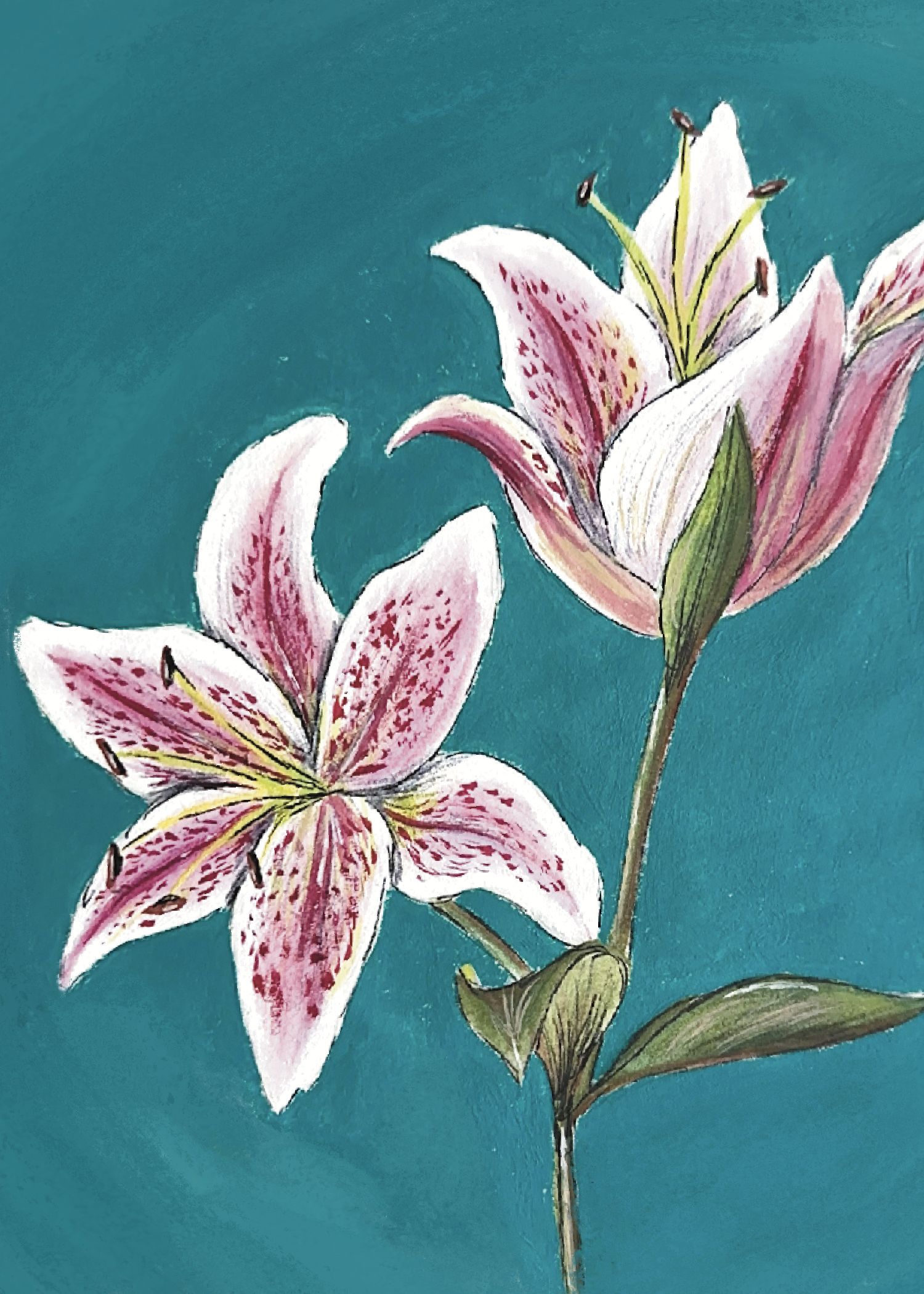 IMG_1802.PNG