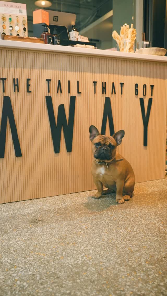 🐾 Echo Network Feature 001 — The Tail That Got Away
Echo was built to showcase stories that matter, not the loudest, not the trendiest , but the most real. And that’s exactly what this first drop represents.
The Tail That Got Away is m