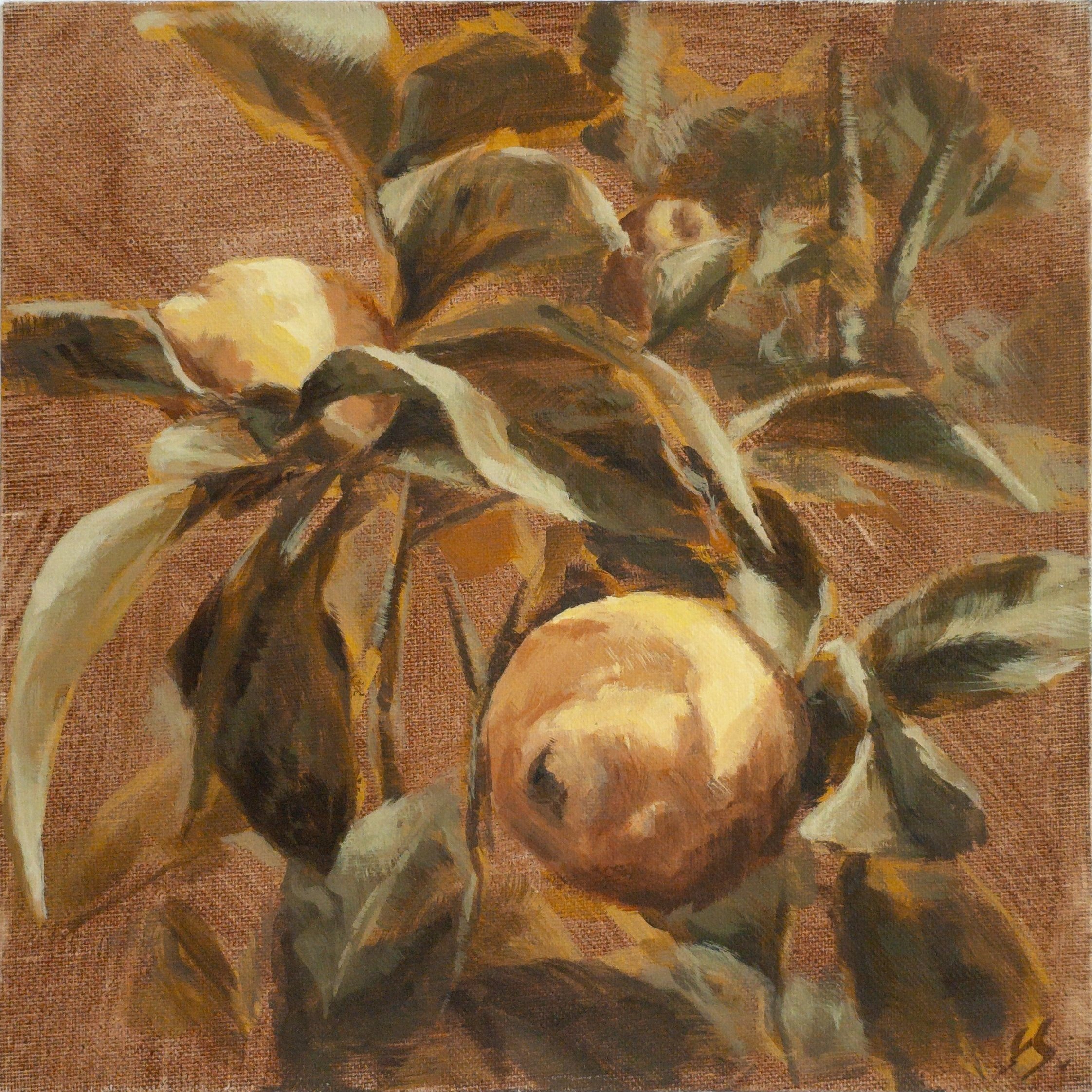 Lemon Tree