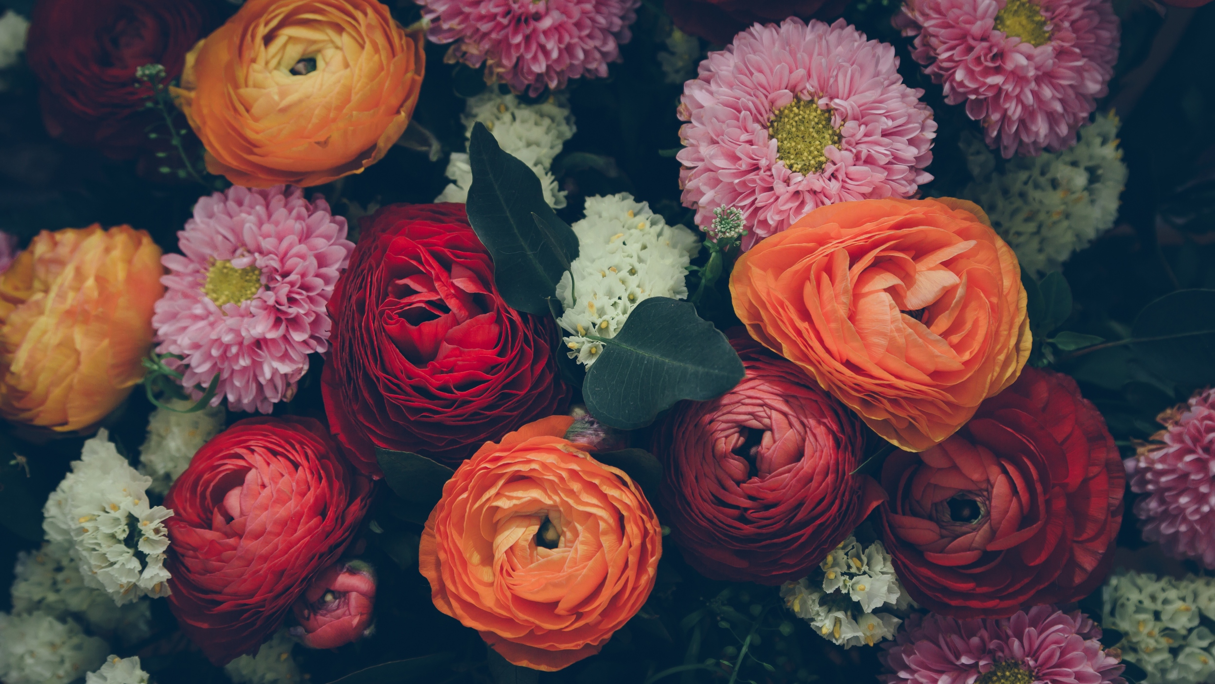 A vibrant bouquet of various flowers including pink dahlias, orange ranunculus, red ranunculus, white stock, and green foliage.
