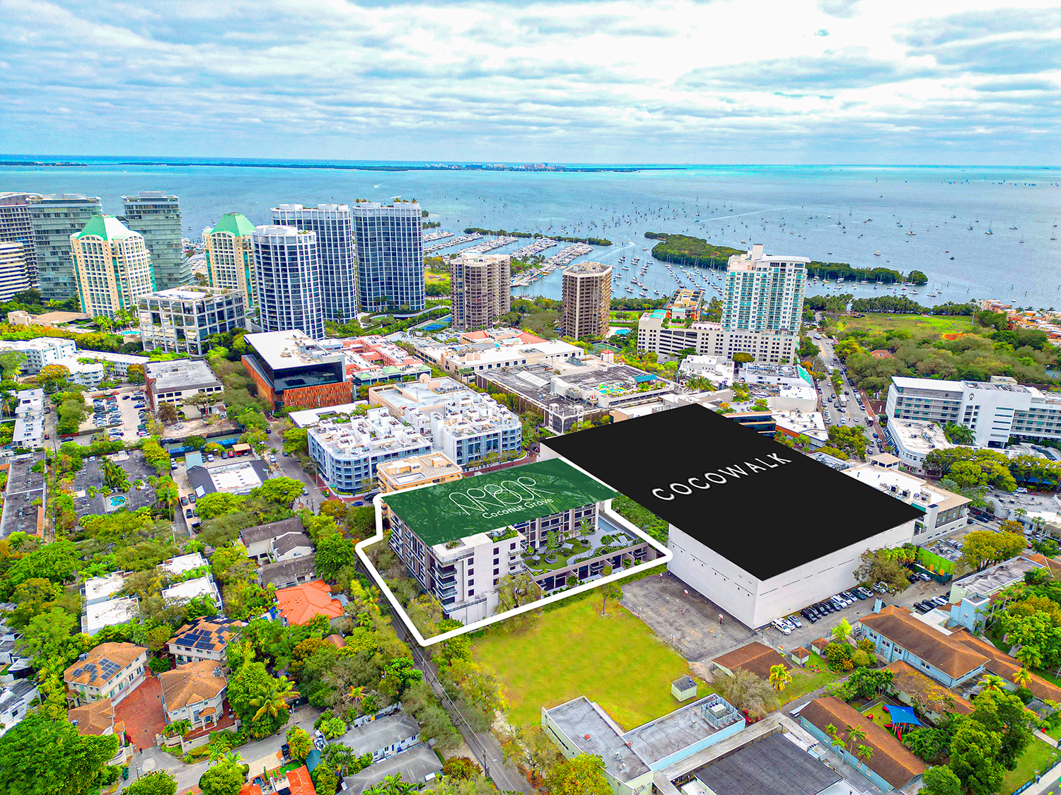 Arbor Coconut Grove