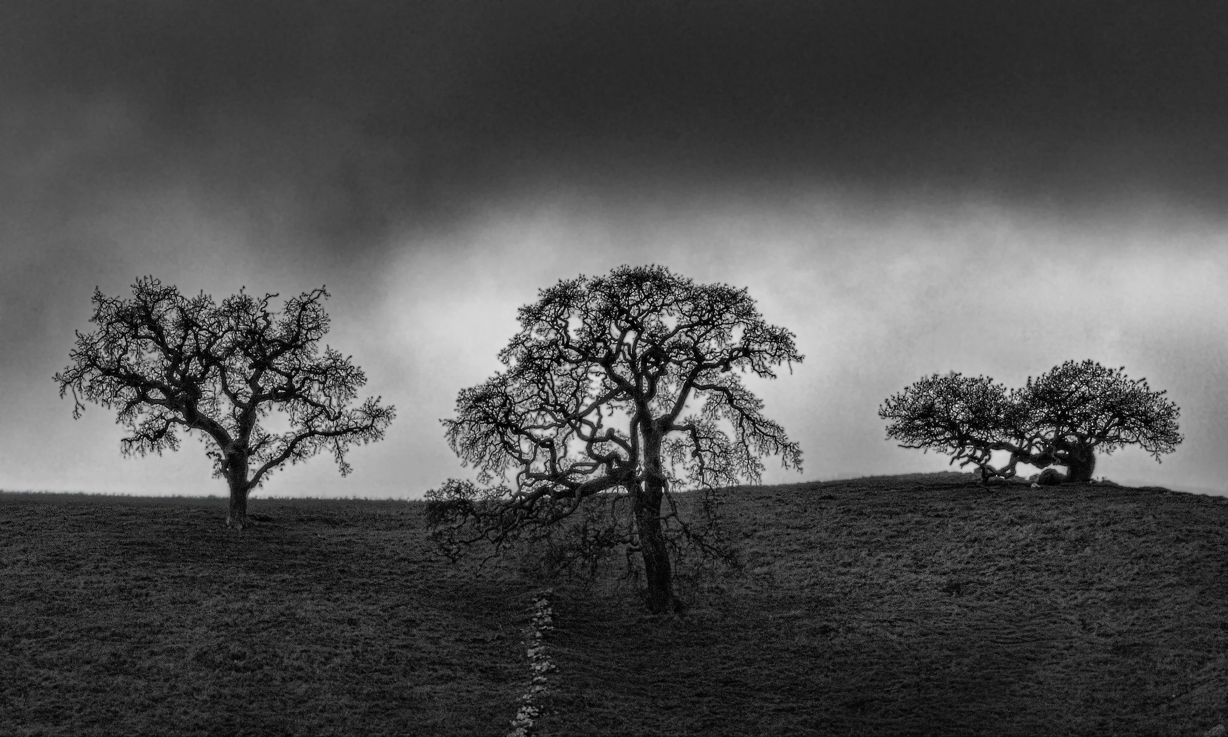 Three Trees, Claveras