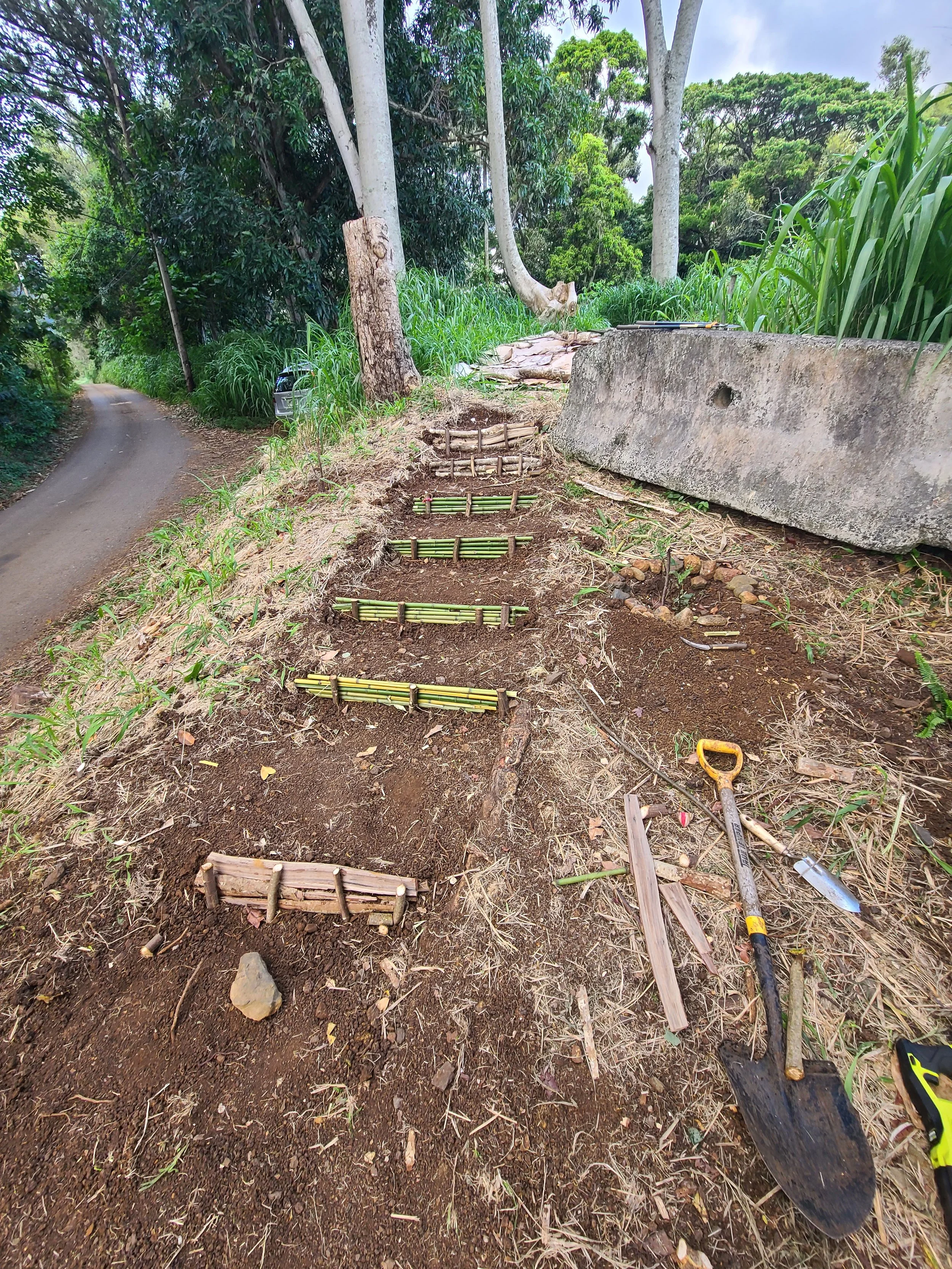 Landscape - Entrance (Steps).jpg