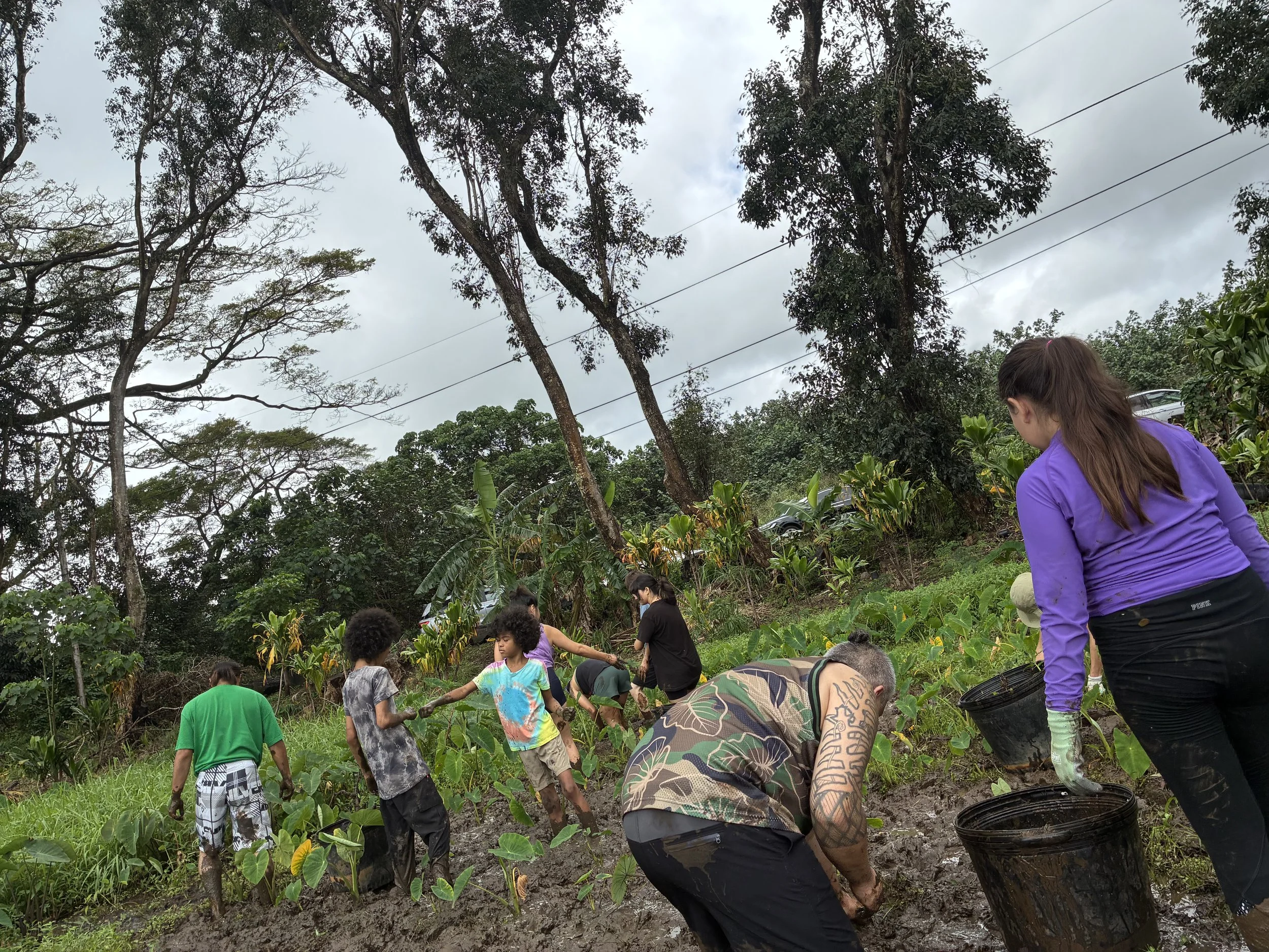 Group - Working (Volunteers).jpeg