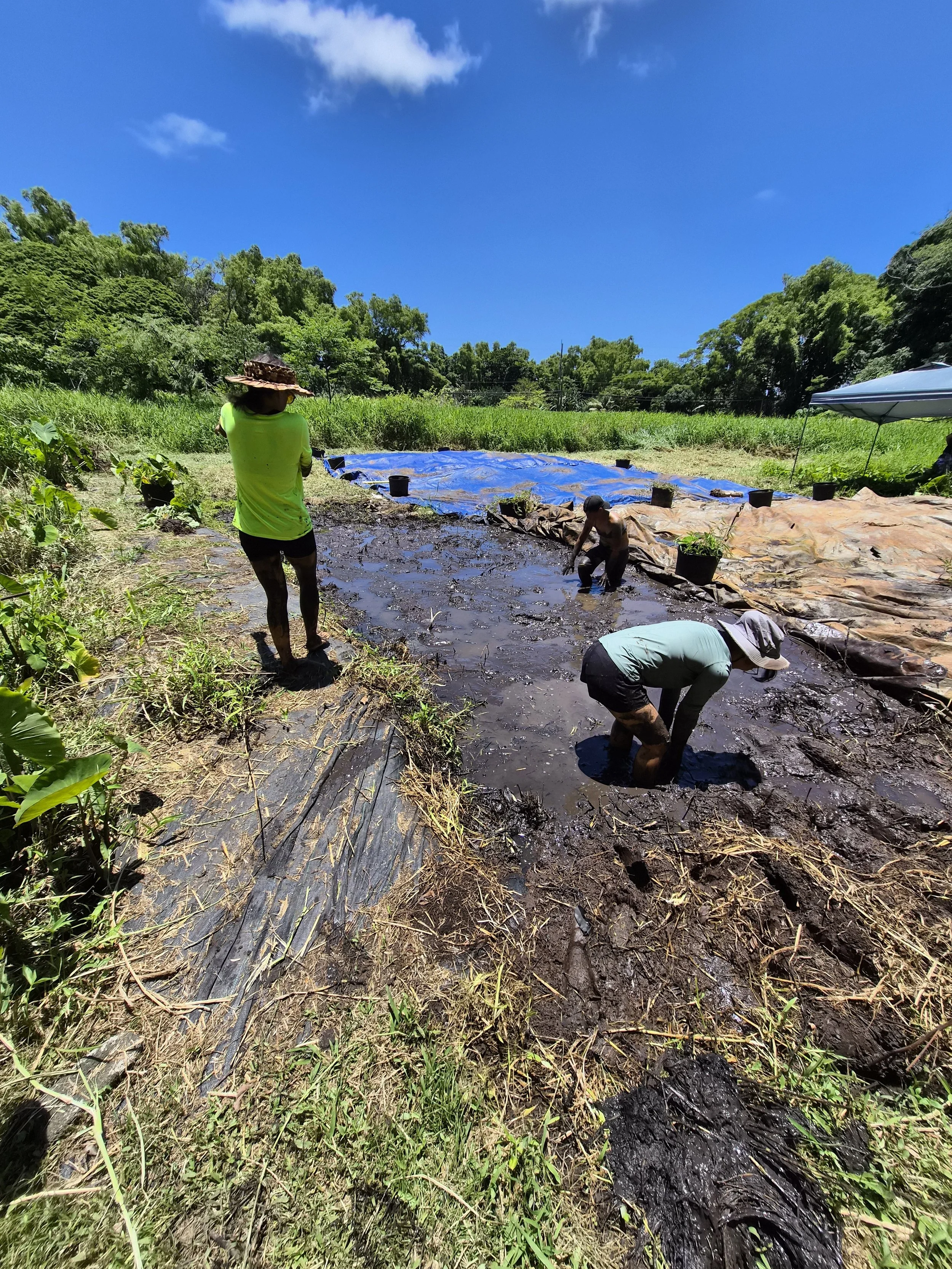 Group - Field Work (Volunteers).jpg