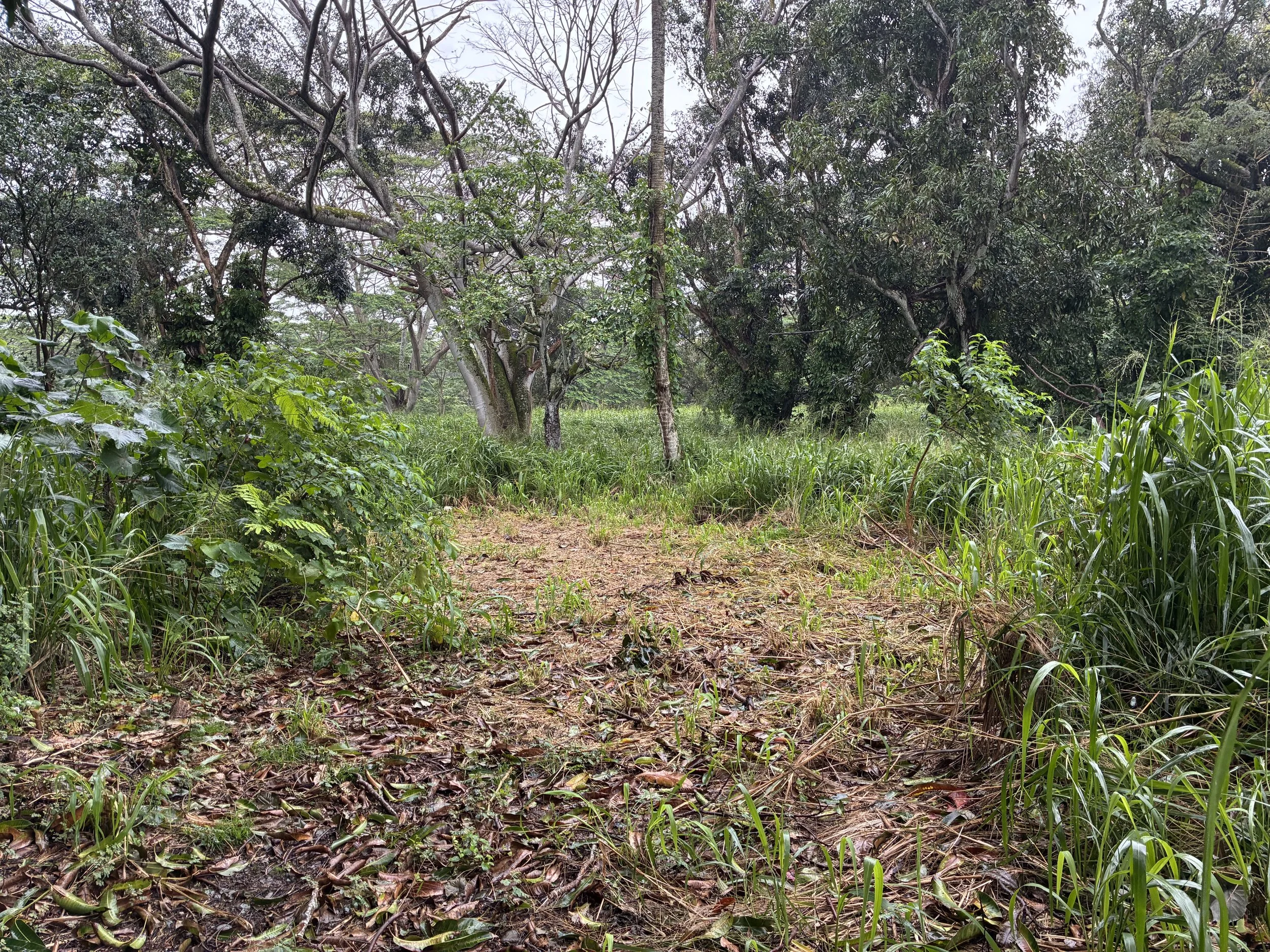 Landscape 3.jpeg