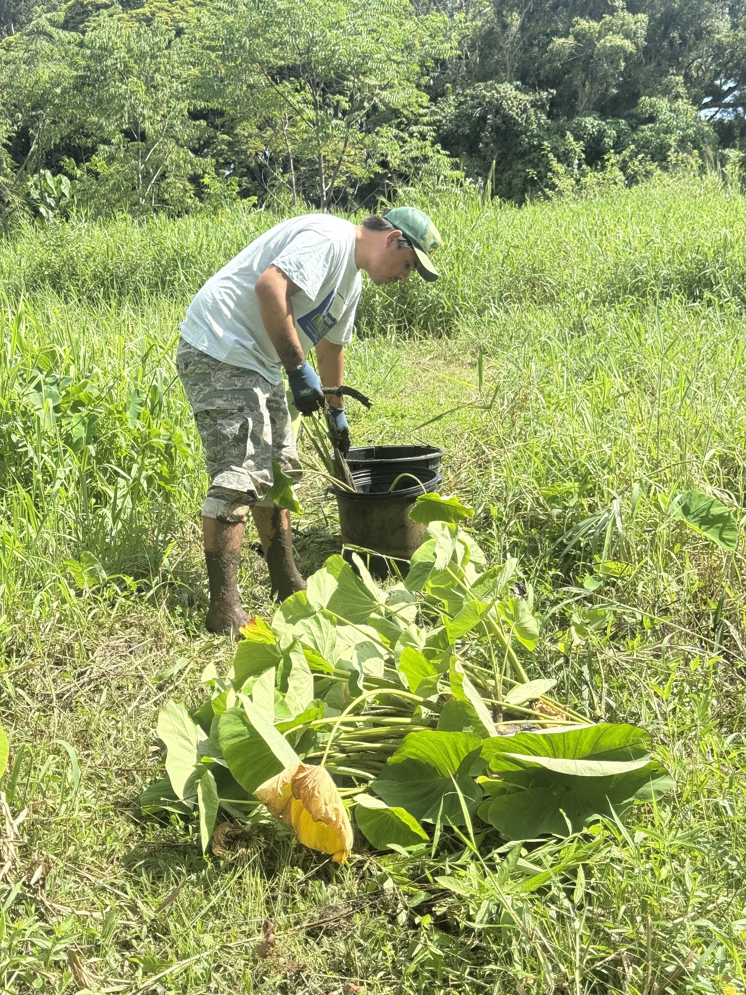 Group - Volunteer (Solo).jpg