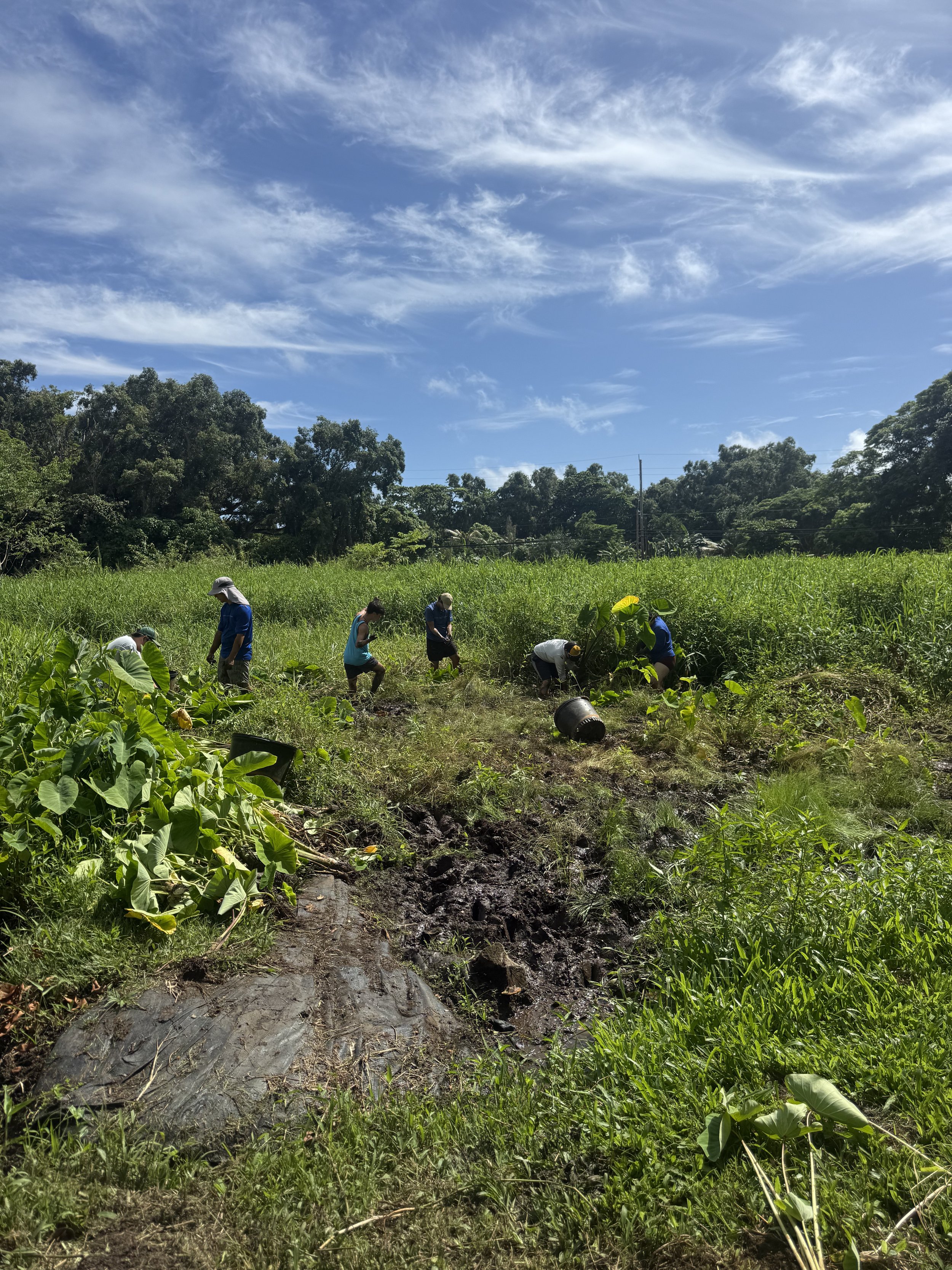 Group - Volunteer (Field).jpg