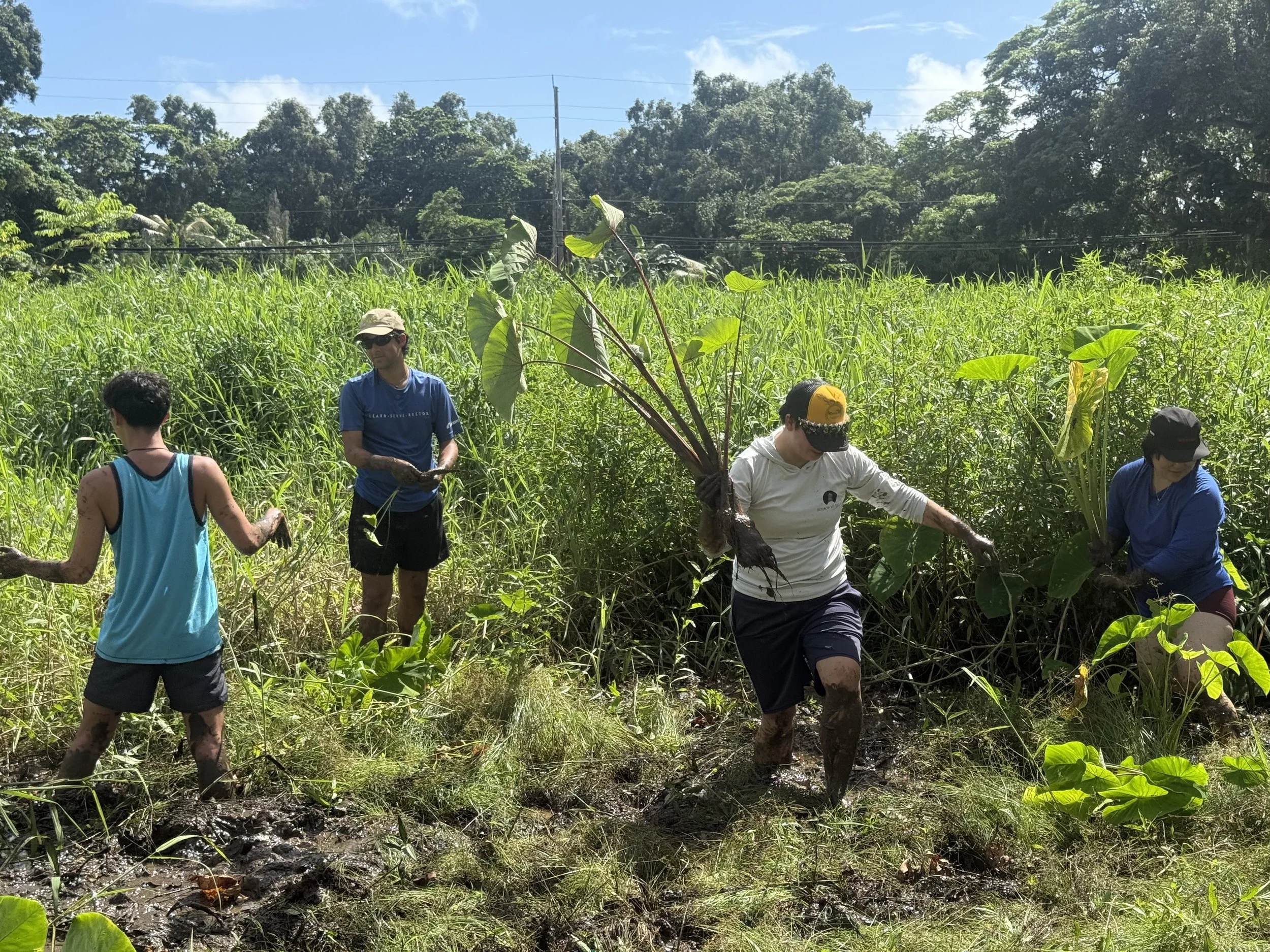 Group - Volunteers (Field).jpg