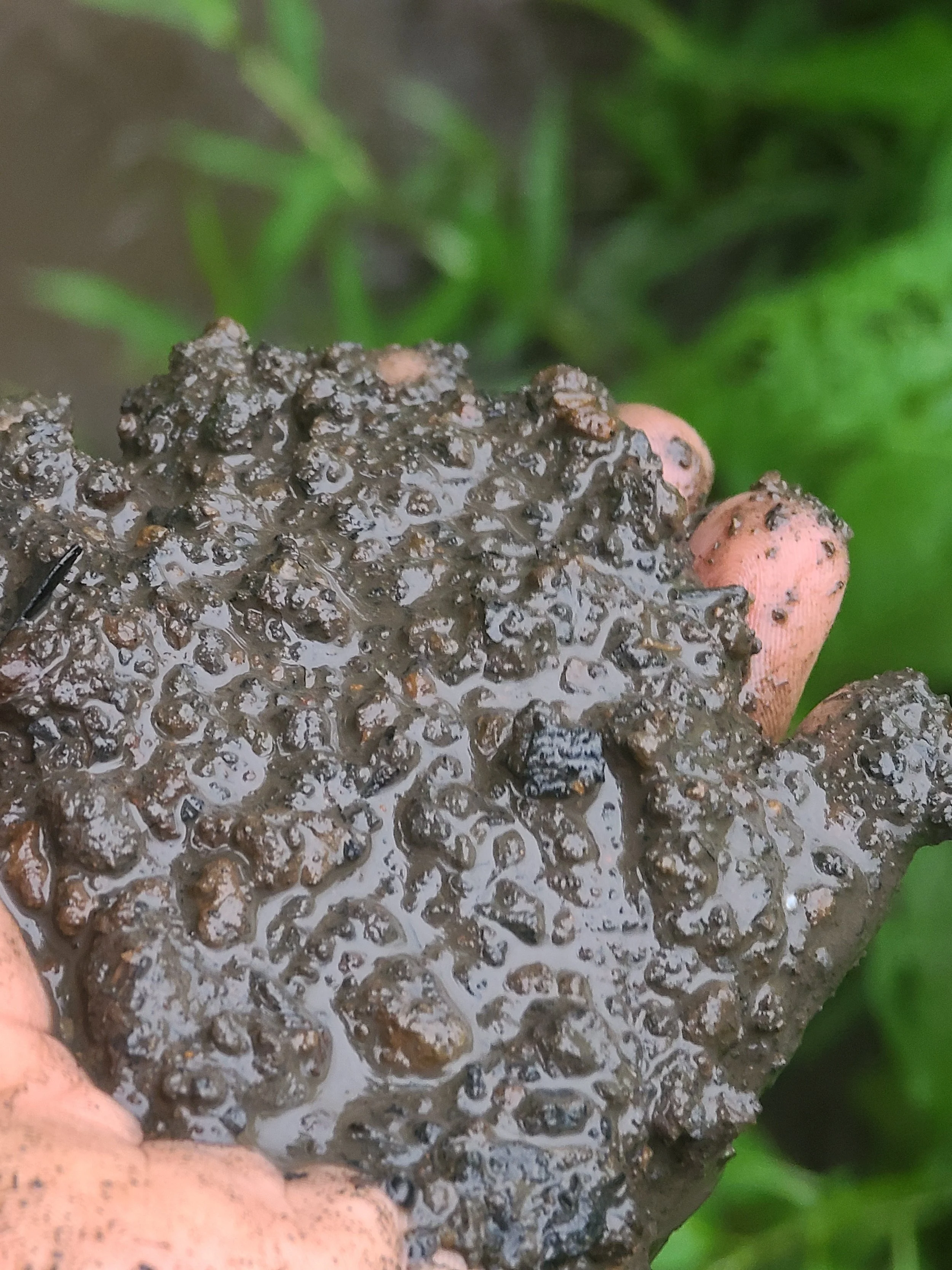 Misc - Soil.jpg