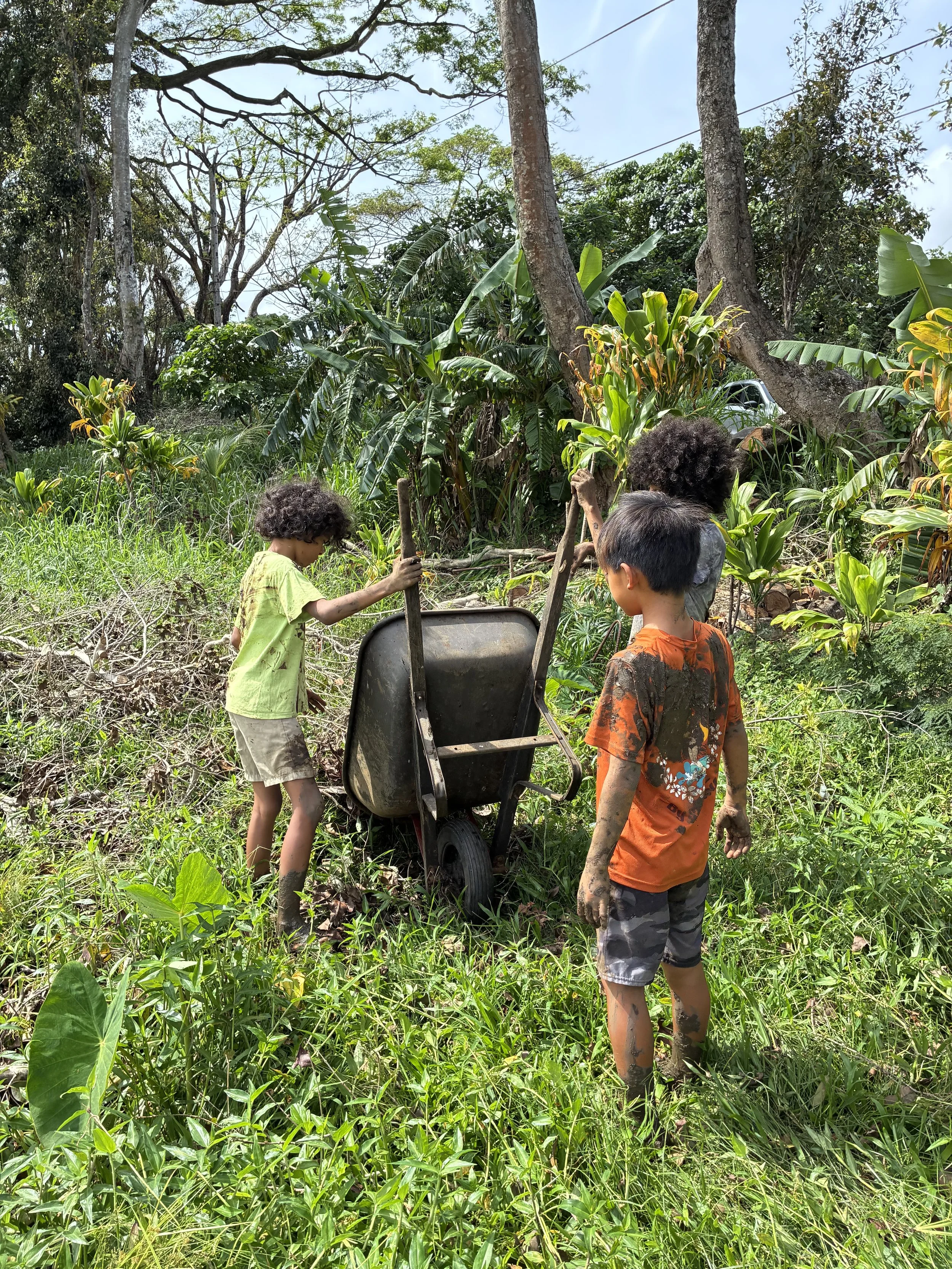 Group - Wheelbarrow (Kids).jpeg