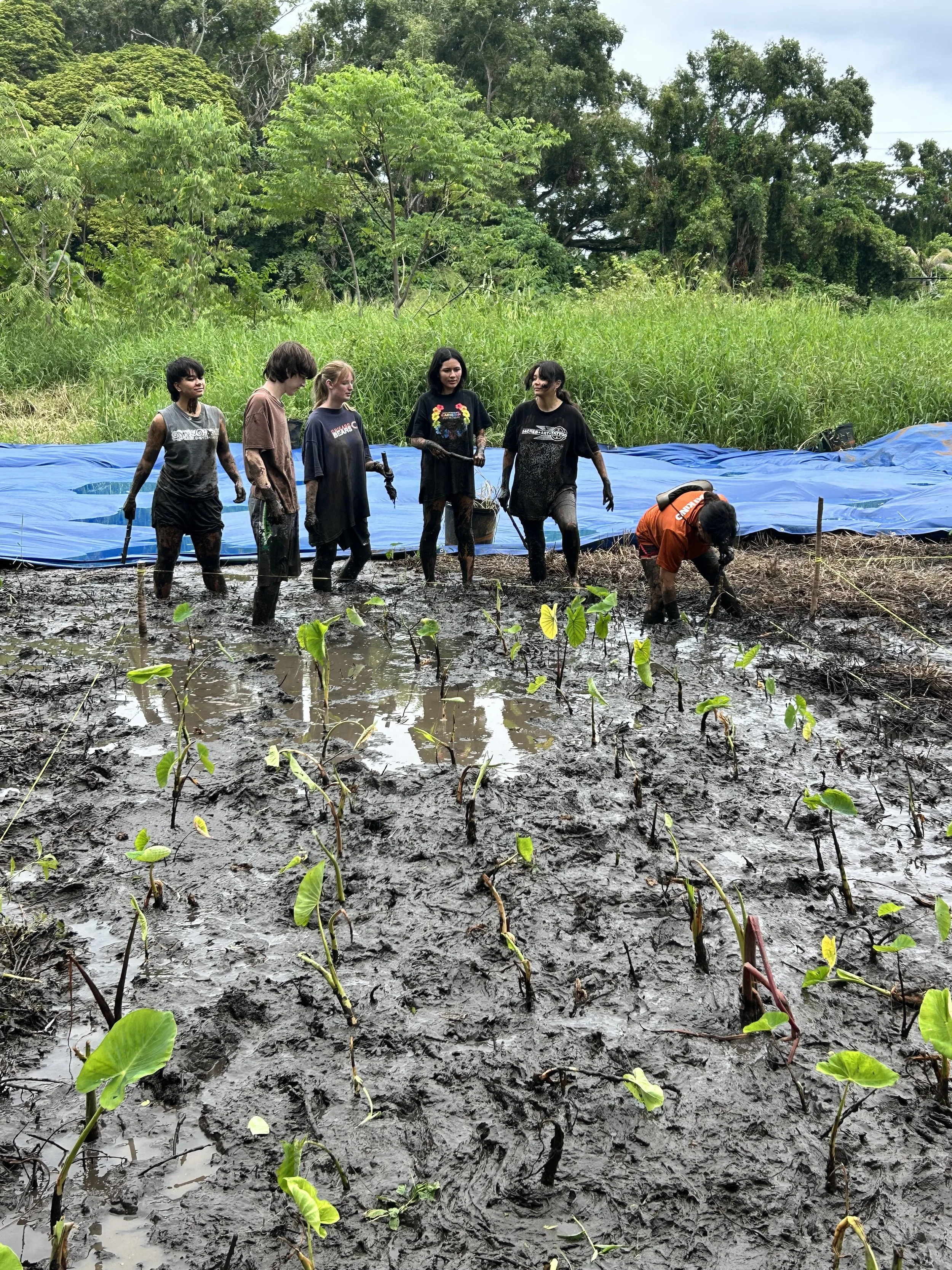 Group - Volunteers.JPG
