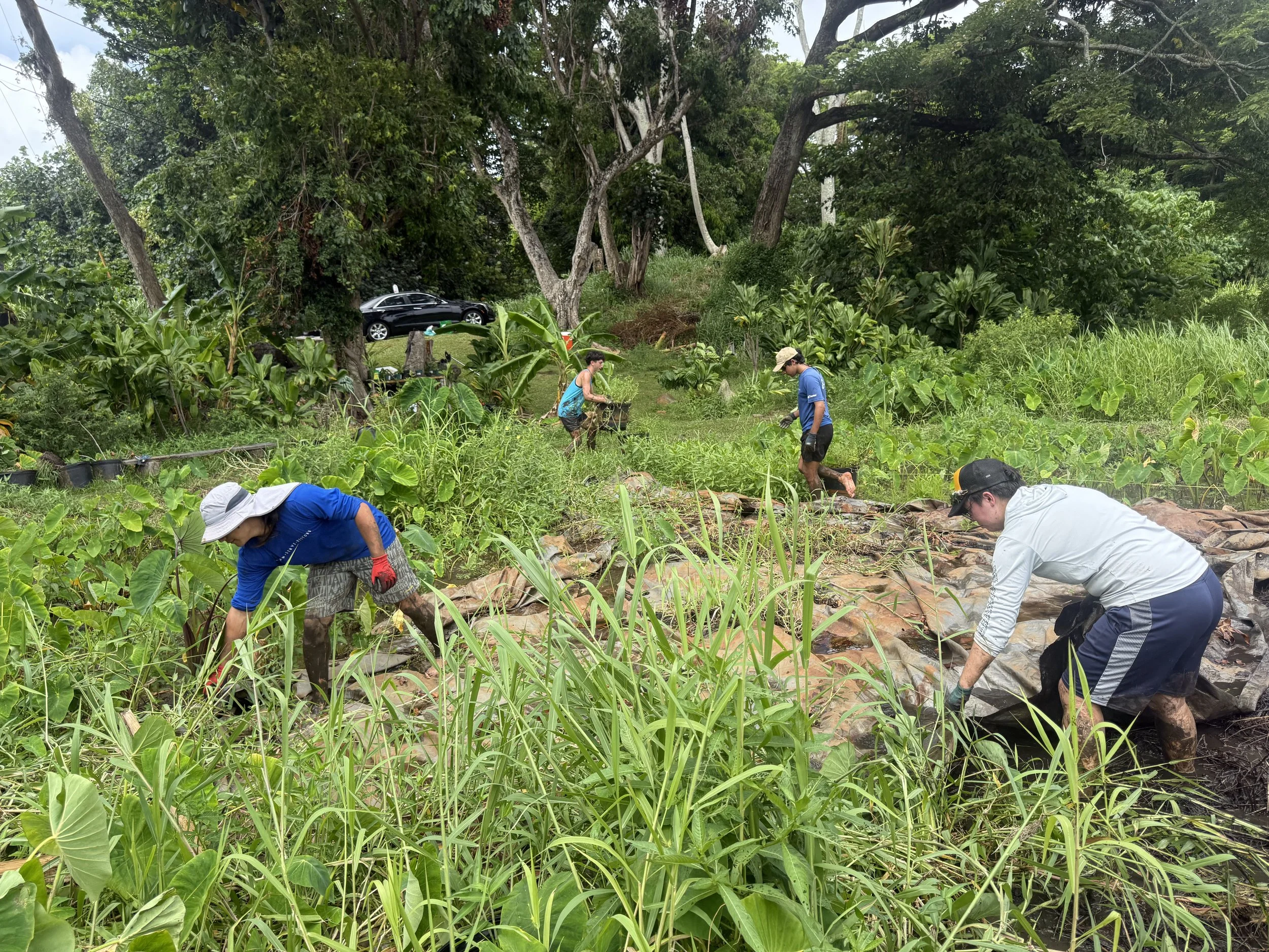 Group - Volunteers (Field 3).jpg