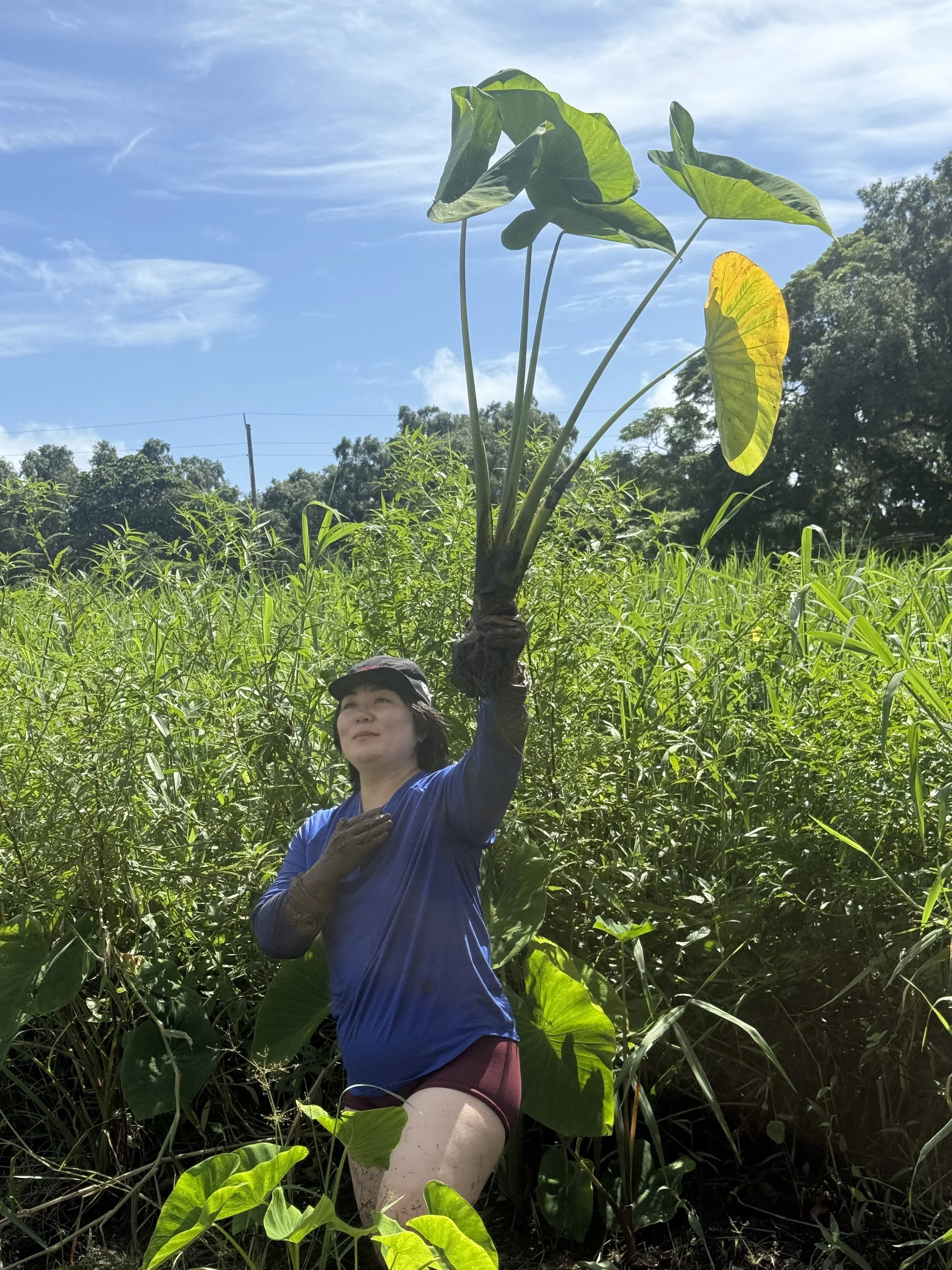 Group - Volunteers (Holding Taro Solo).jpg