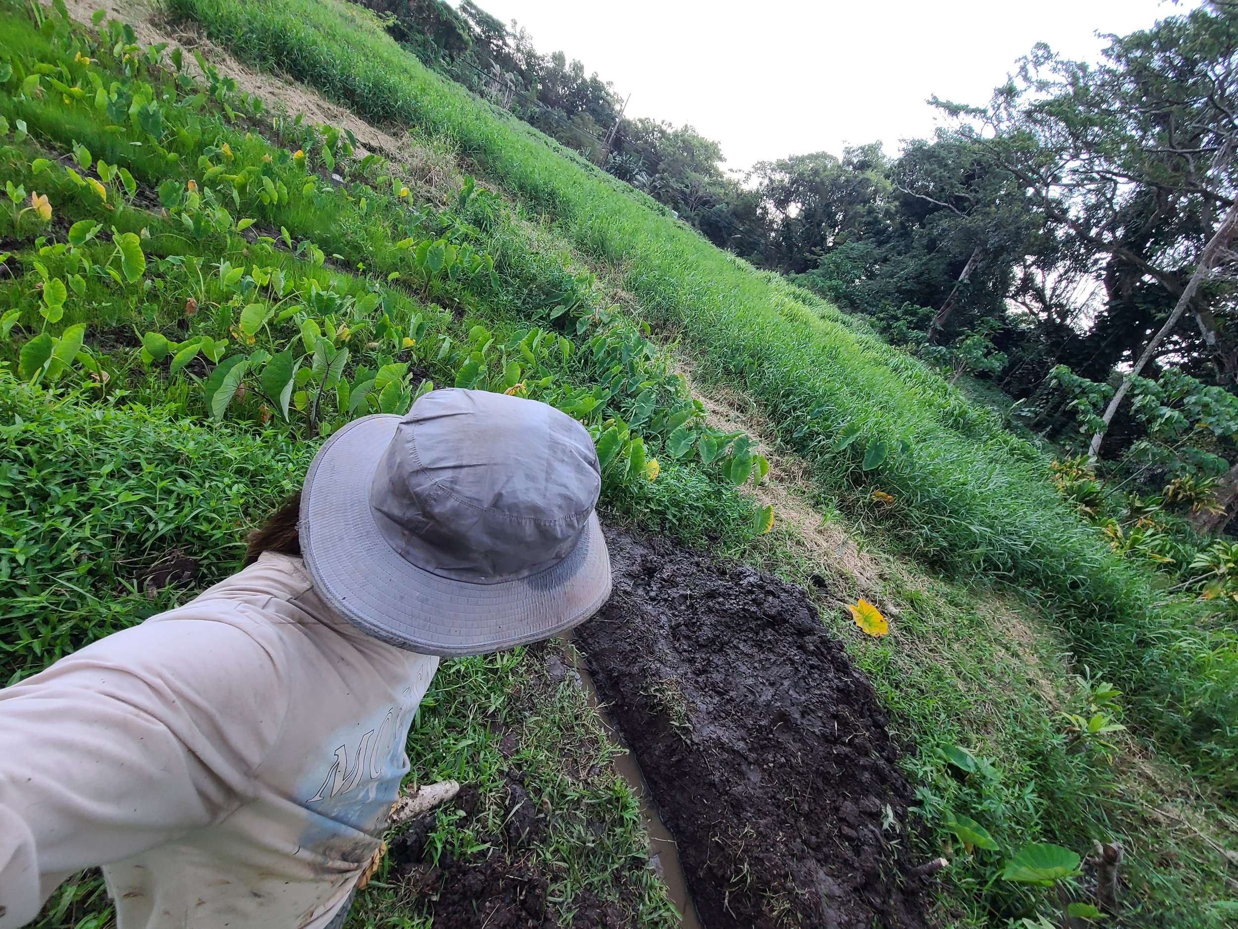 Member - Kua (Landscape).jpg