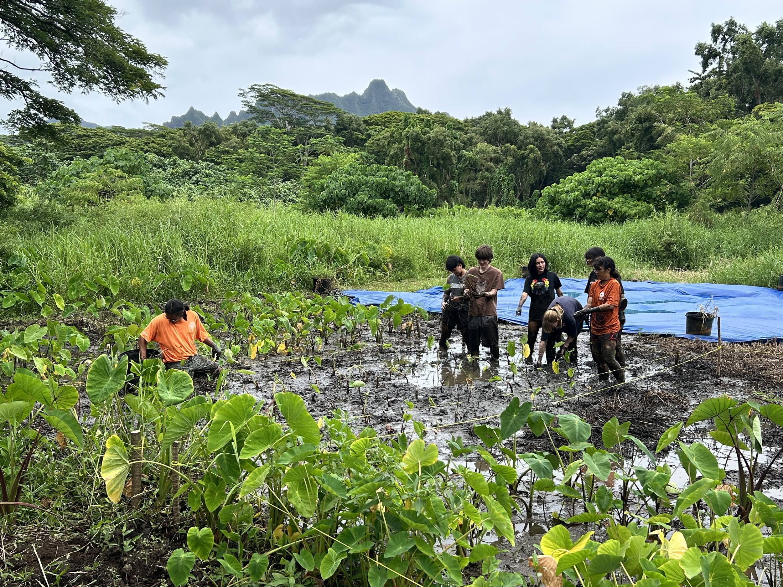 Group - Kua Wide Shot.JPG