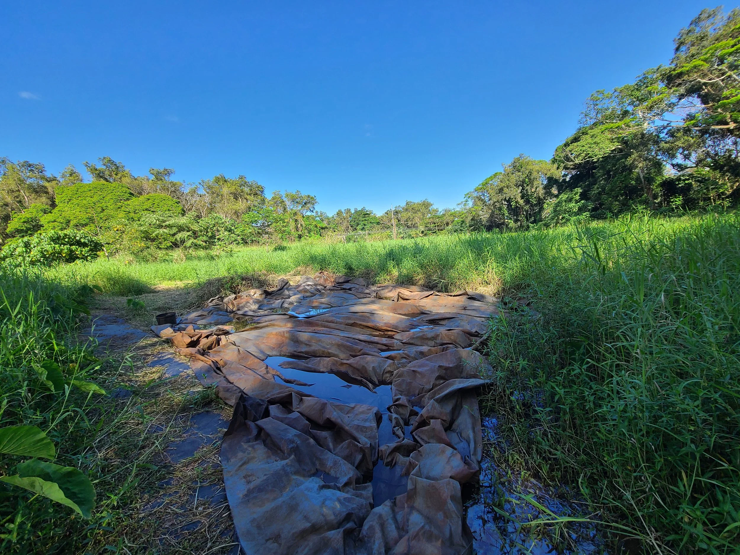 Landscape - Kalo (Preparation).jpg