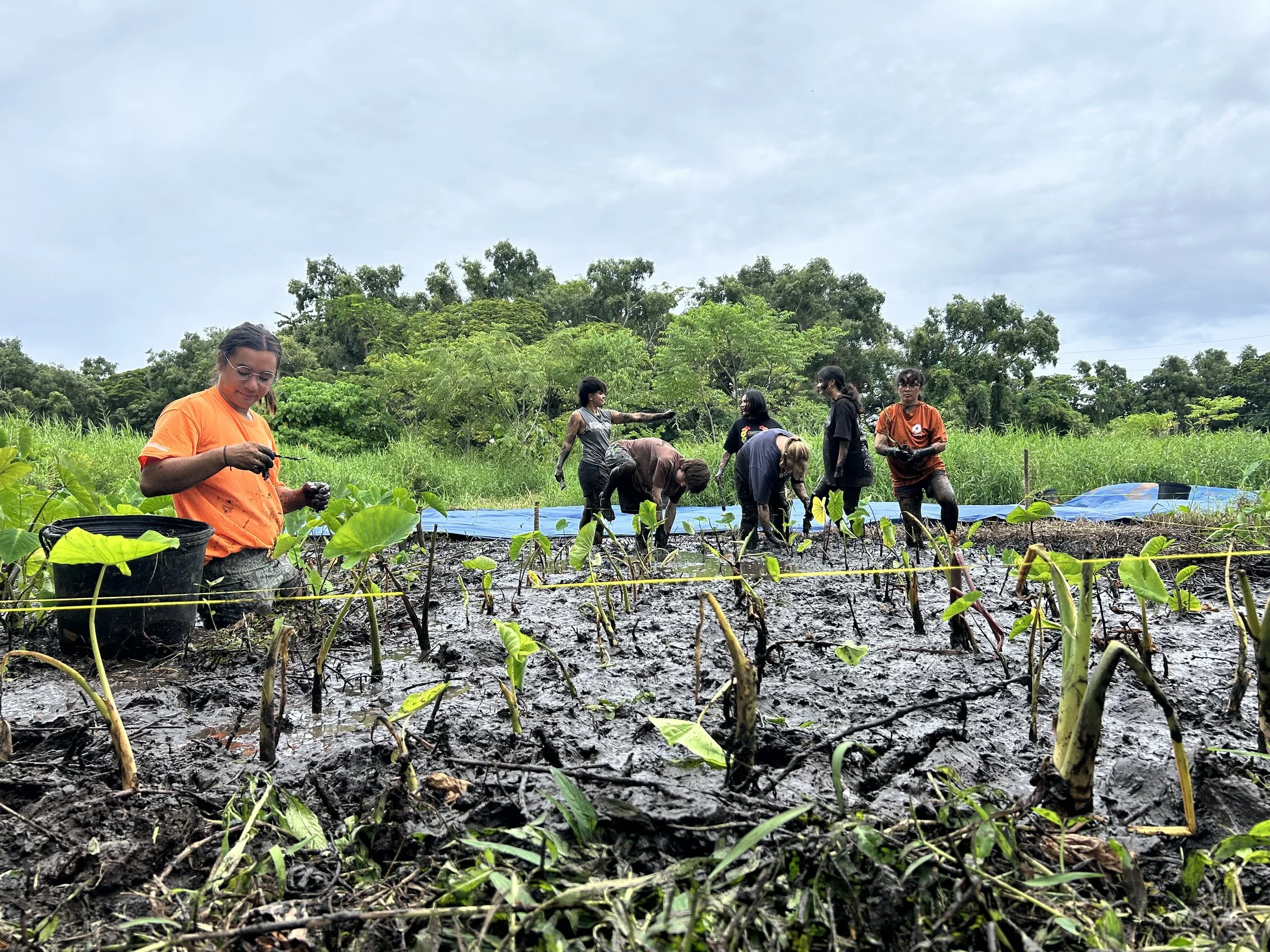 Group - Wide Shot (Kua Volunteers).JPG