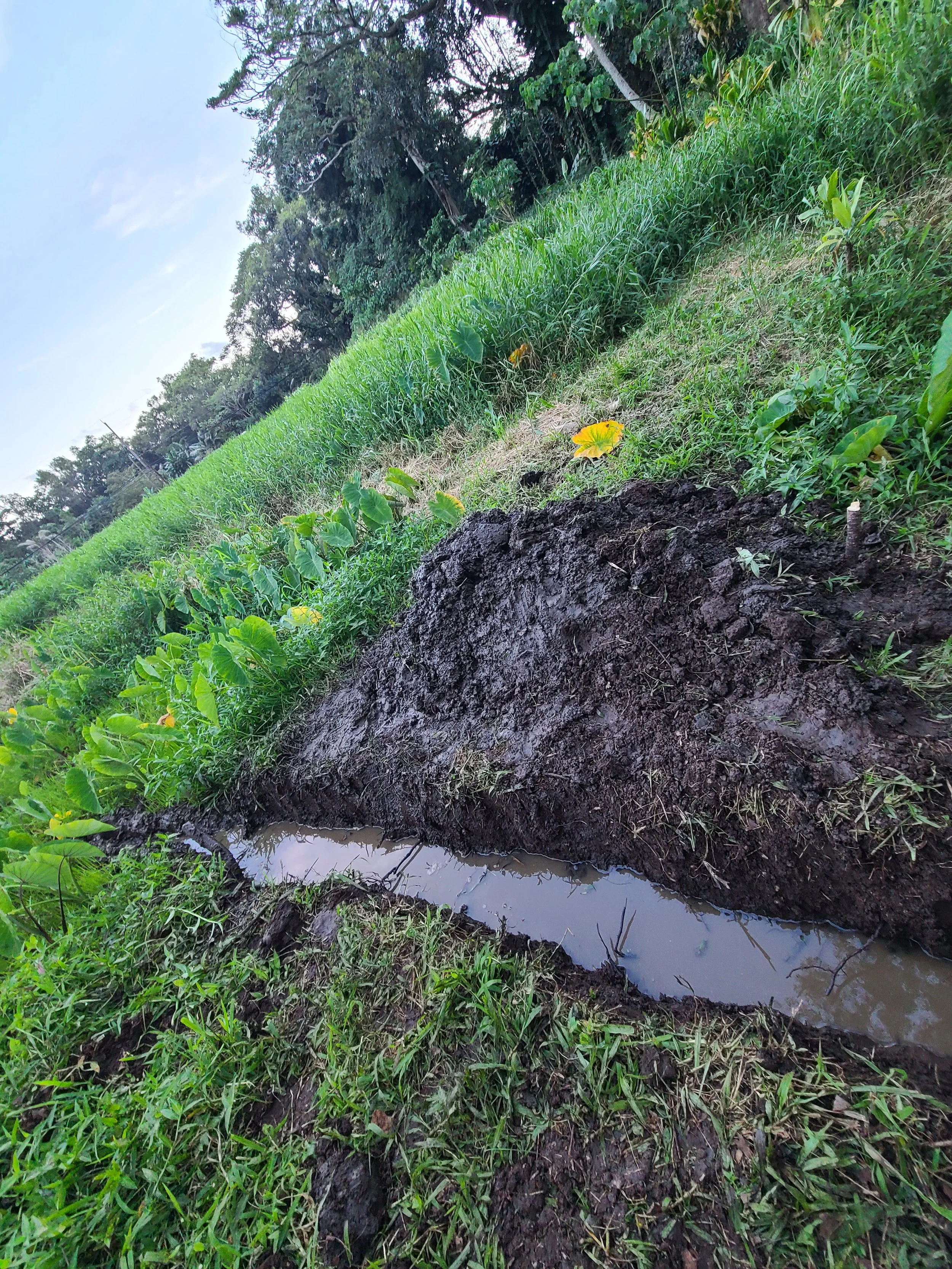 Landscape - Irrigation 2.jpg