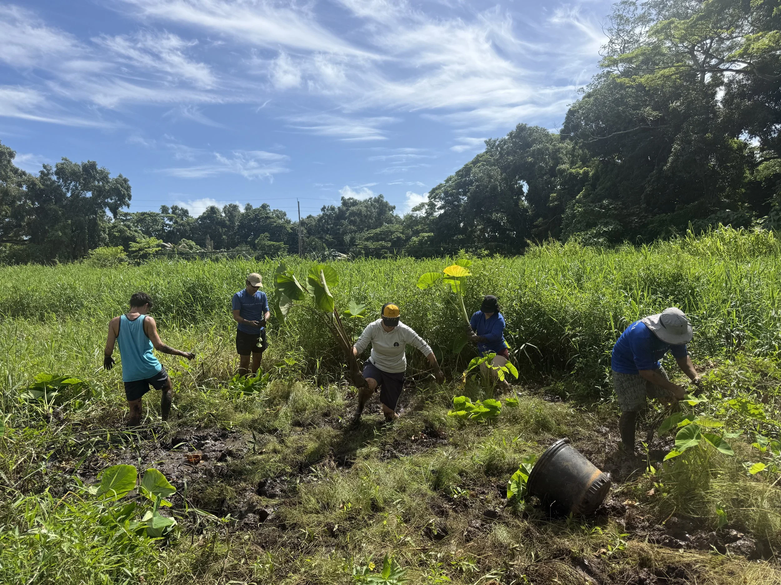 Group - Volunteer (Field2).jpg