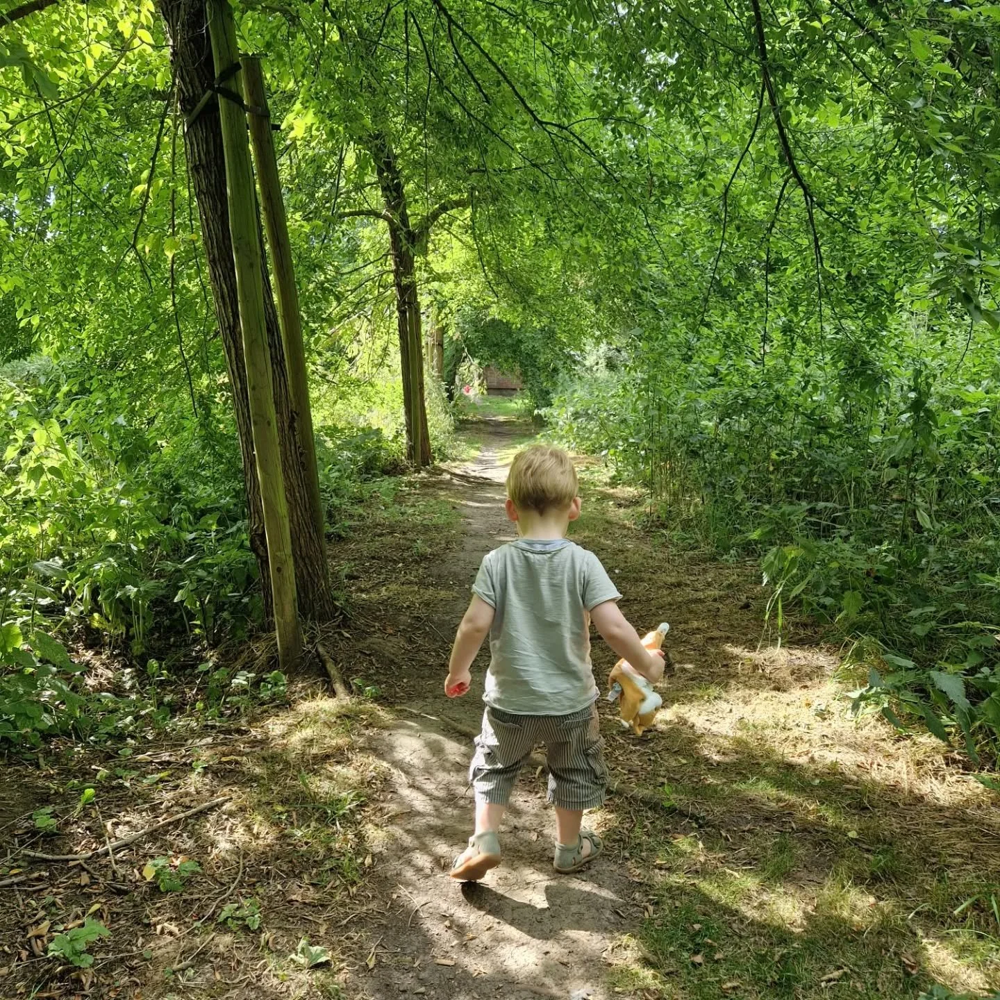 **2 ANS** 

Que notre petit renard d'amour est arriv&eacute; dans nos vies
Que je suis devenue maman 
Que j'ai v&eacute;cu un des moments les plus traumatisants mais dont je suis si fi&egrave;re aujourd'hui
Que je doute chaque jour 
Que je revis mon 