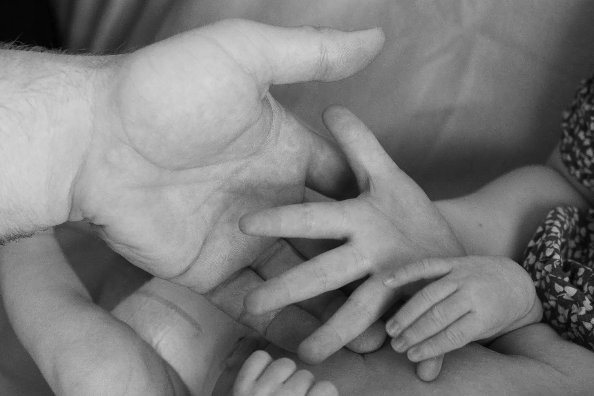 Family & Newborn