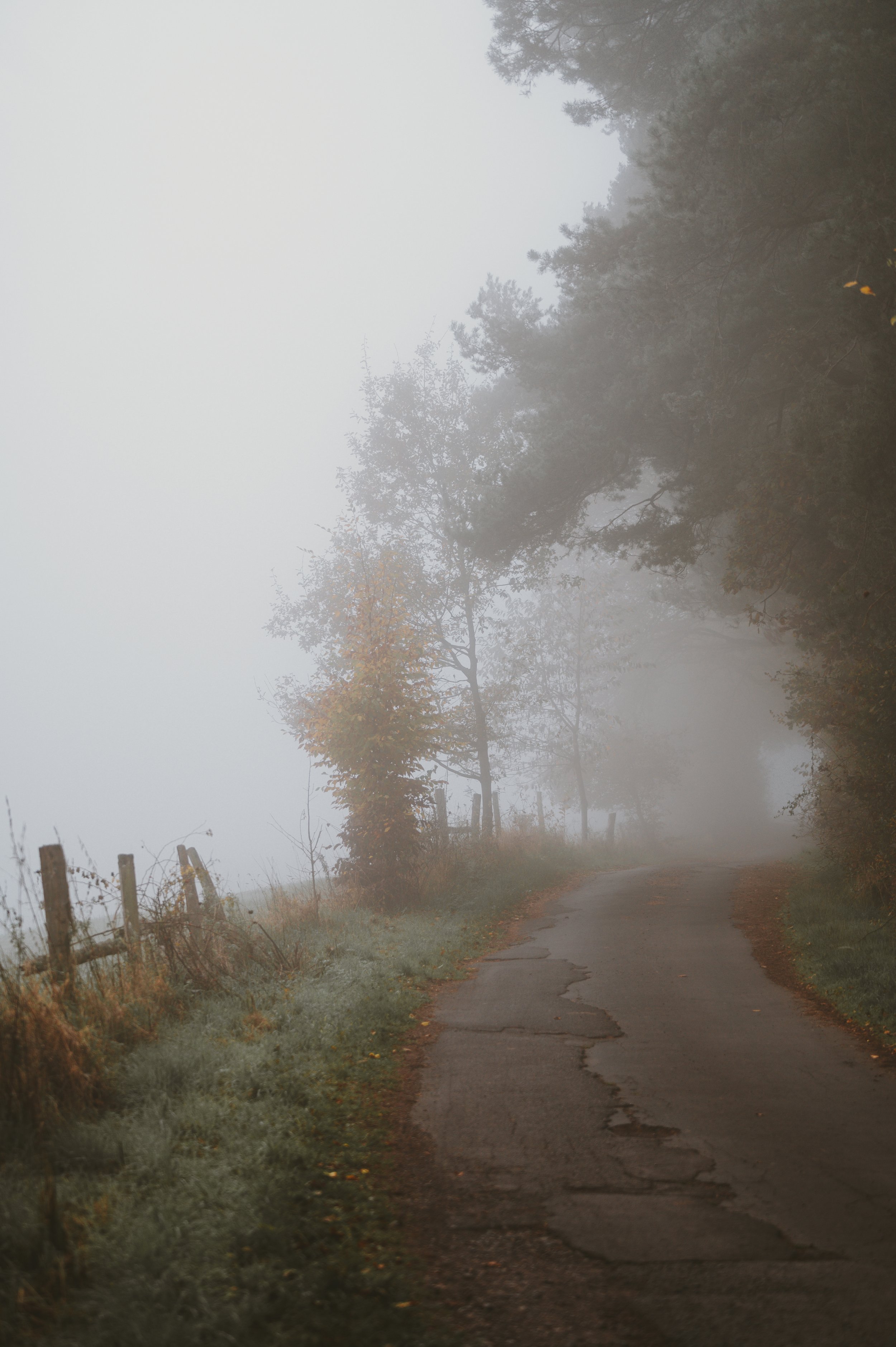 DSC_4550-2.jpg