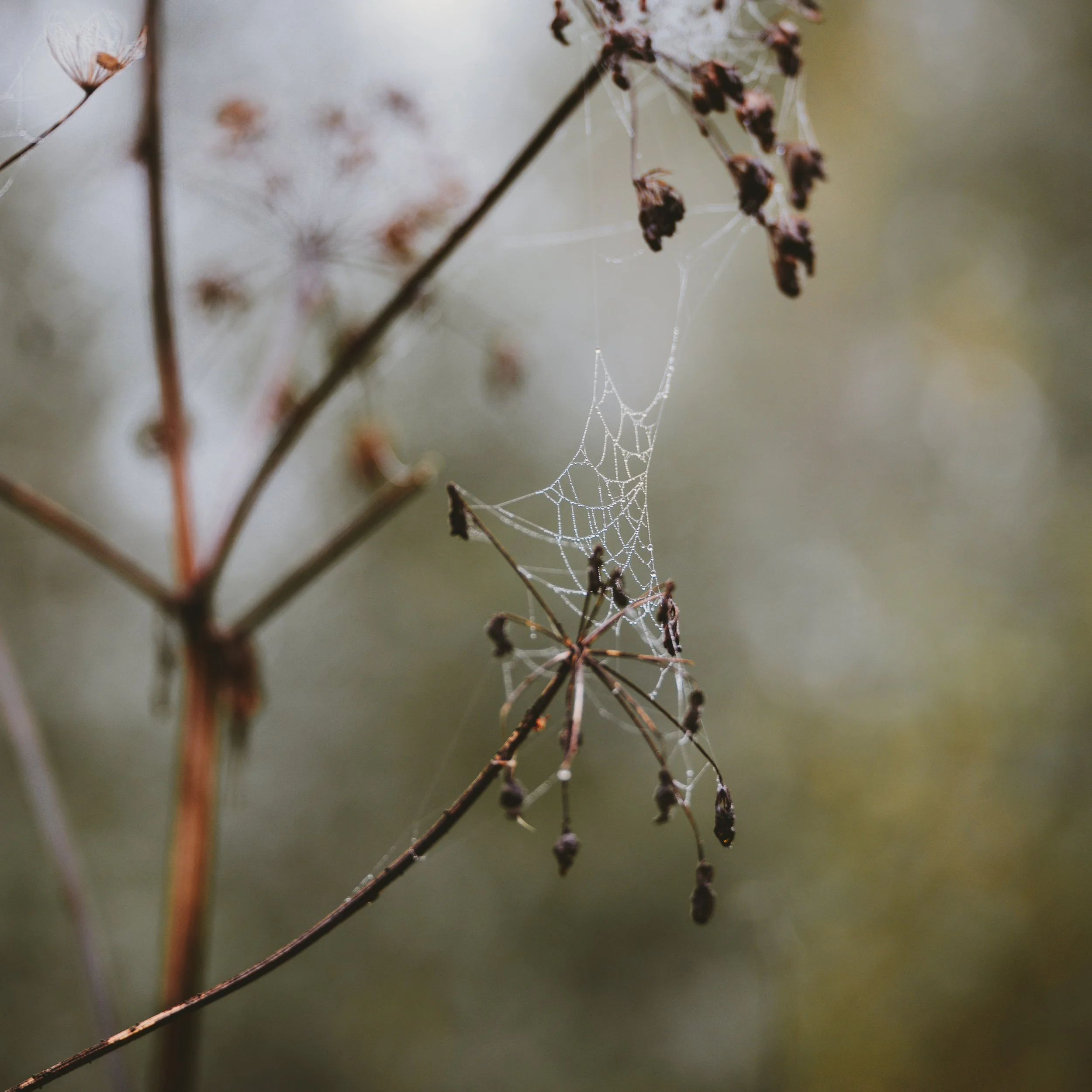 DSC_1518-2.jpg
