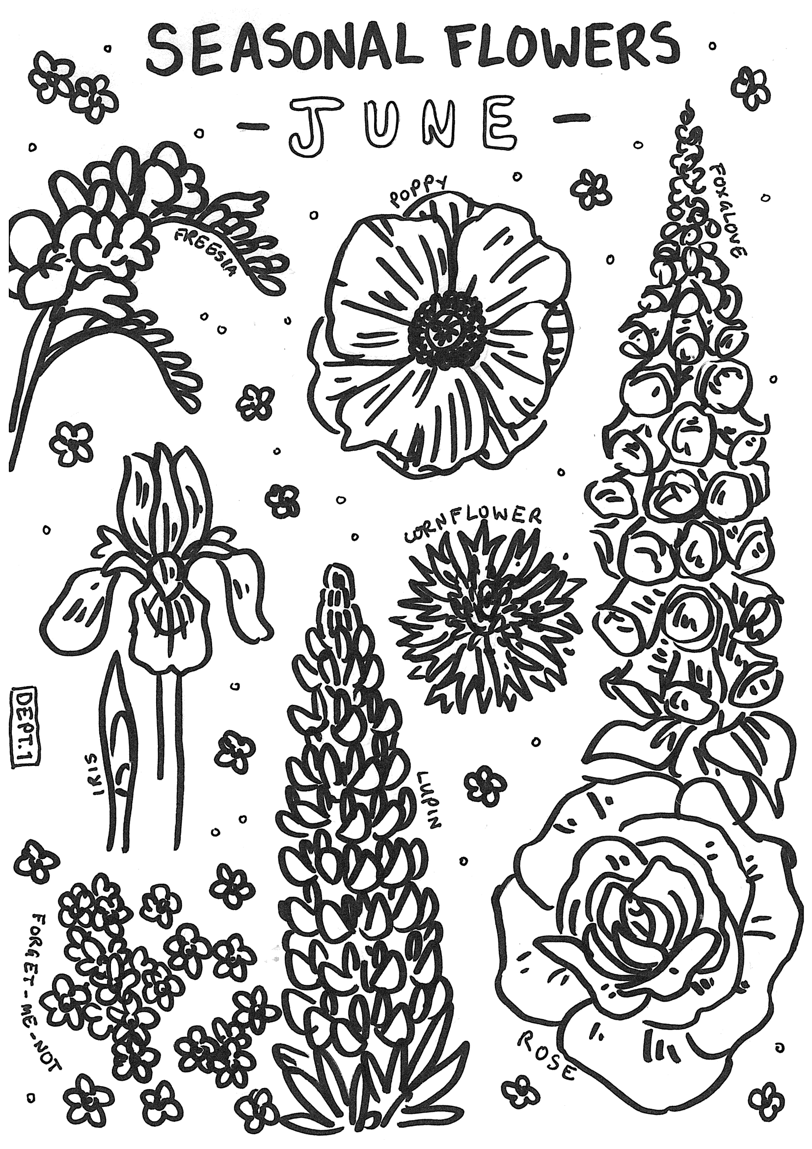 June – Seasonal Flowers Colouring Page