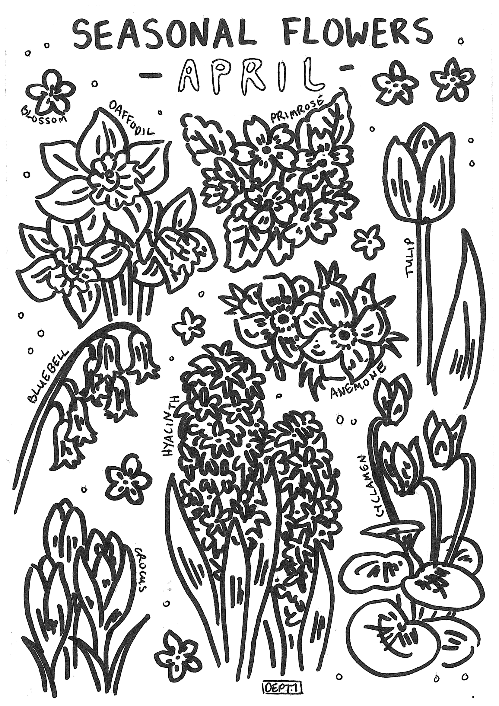 April – Seasonal Flowers Print and Colour In