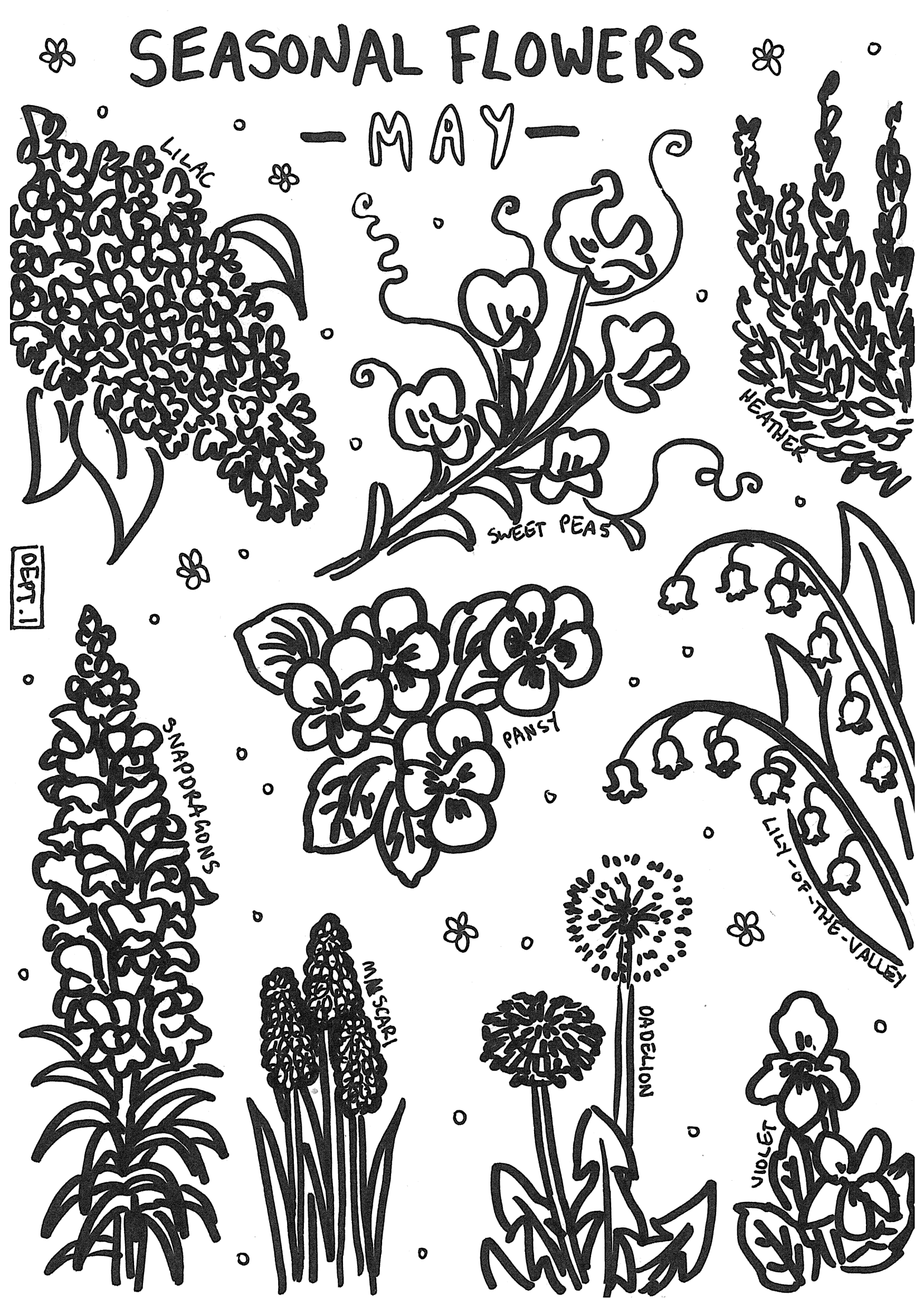 May – Seasonal Flowers print and colour in