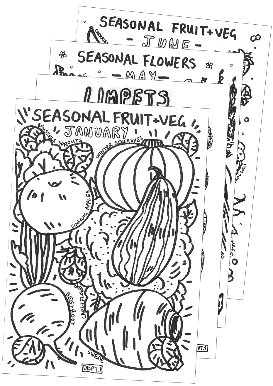 Rock and Bird Colouring Page Book Free Download Seasons and Limpets