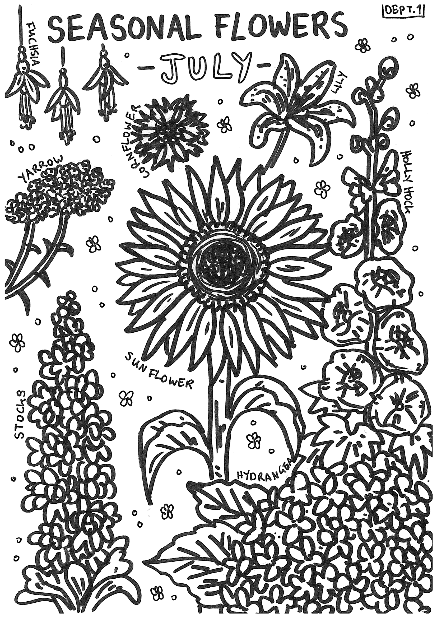 July – Seasonal Flowers colouring page to download and print