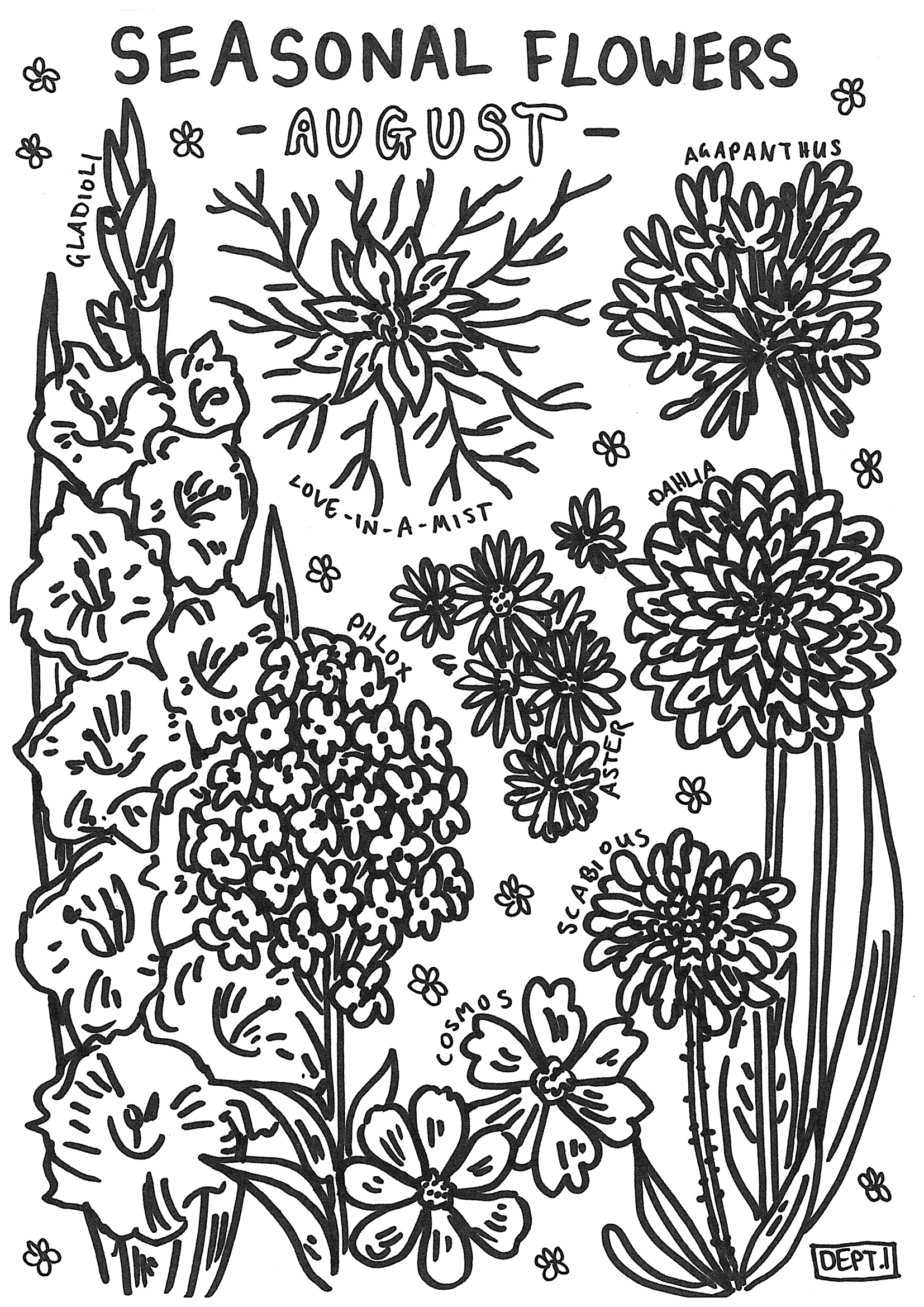 August – Seasonal Flowers to print and colour